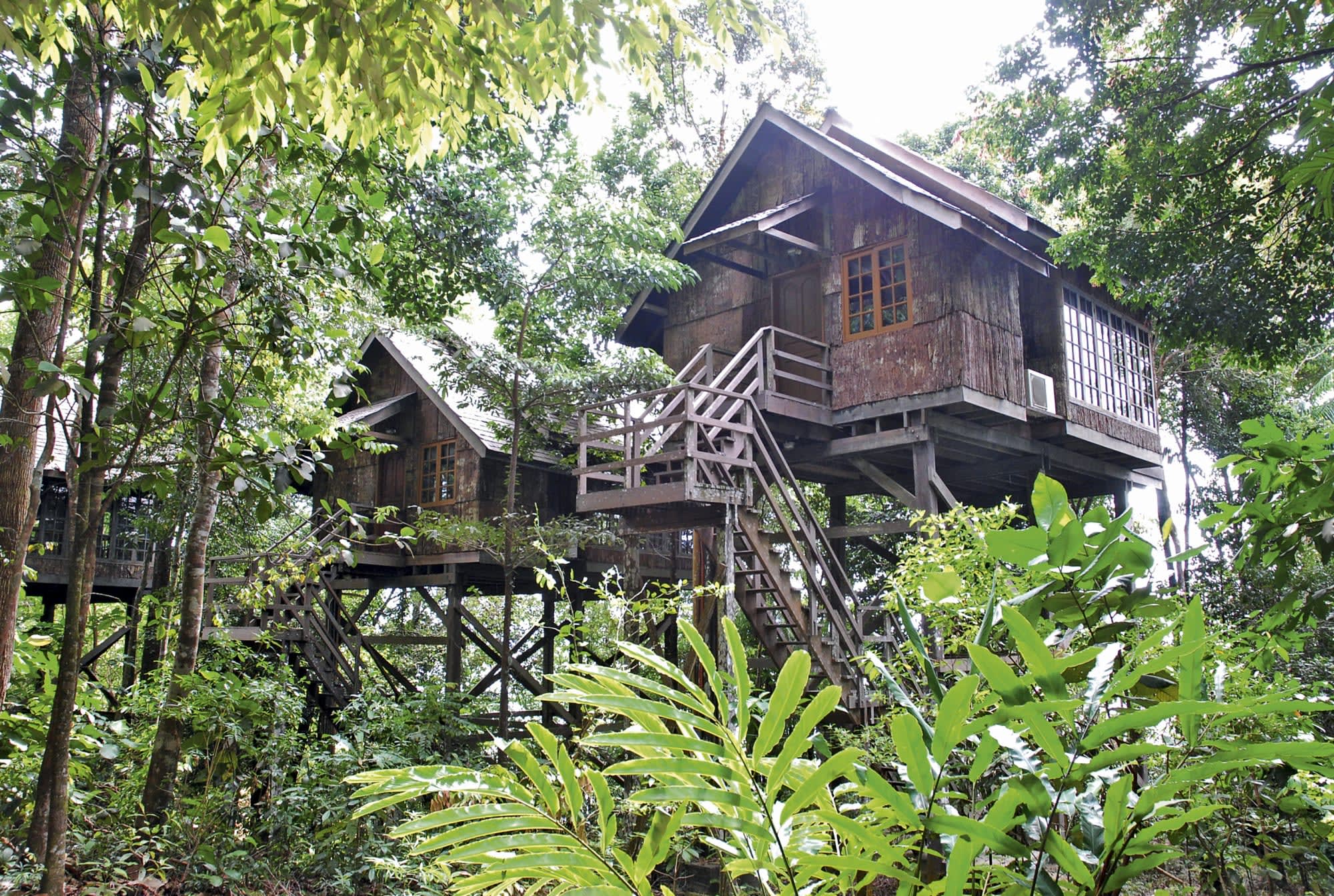 Natur Pur Sarawak ab Kuching: exterior: Borneo Sarawak Permai Rainforest Resort