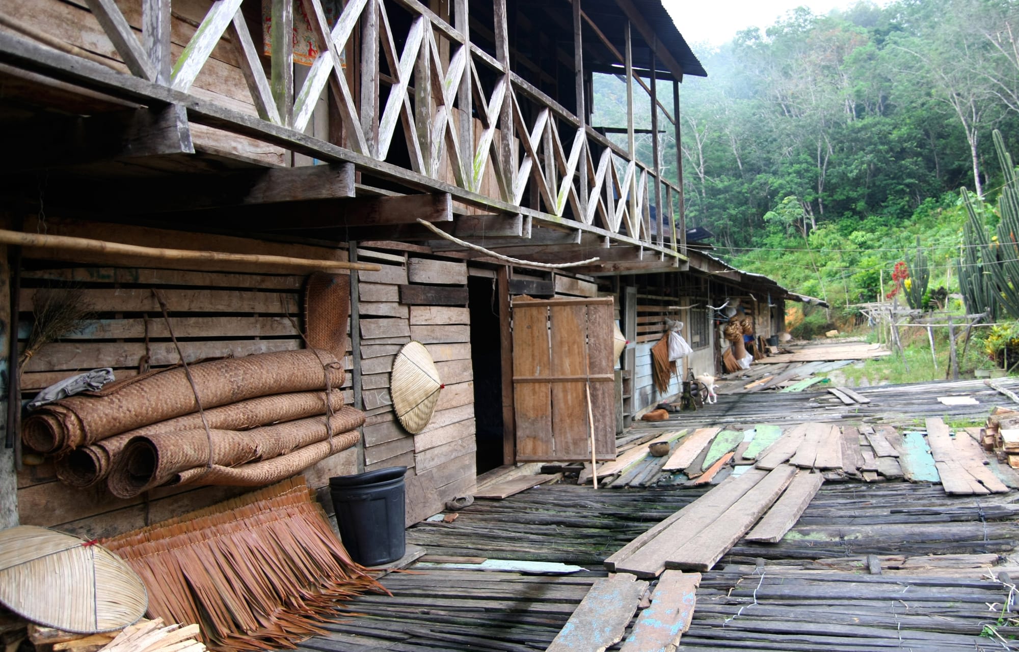 Höhepunkte Borneos ab Kuching: Borneo Sarawak Langhaus