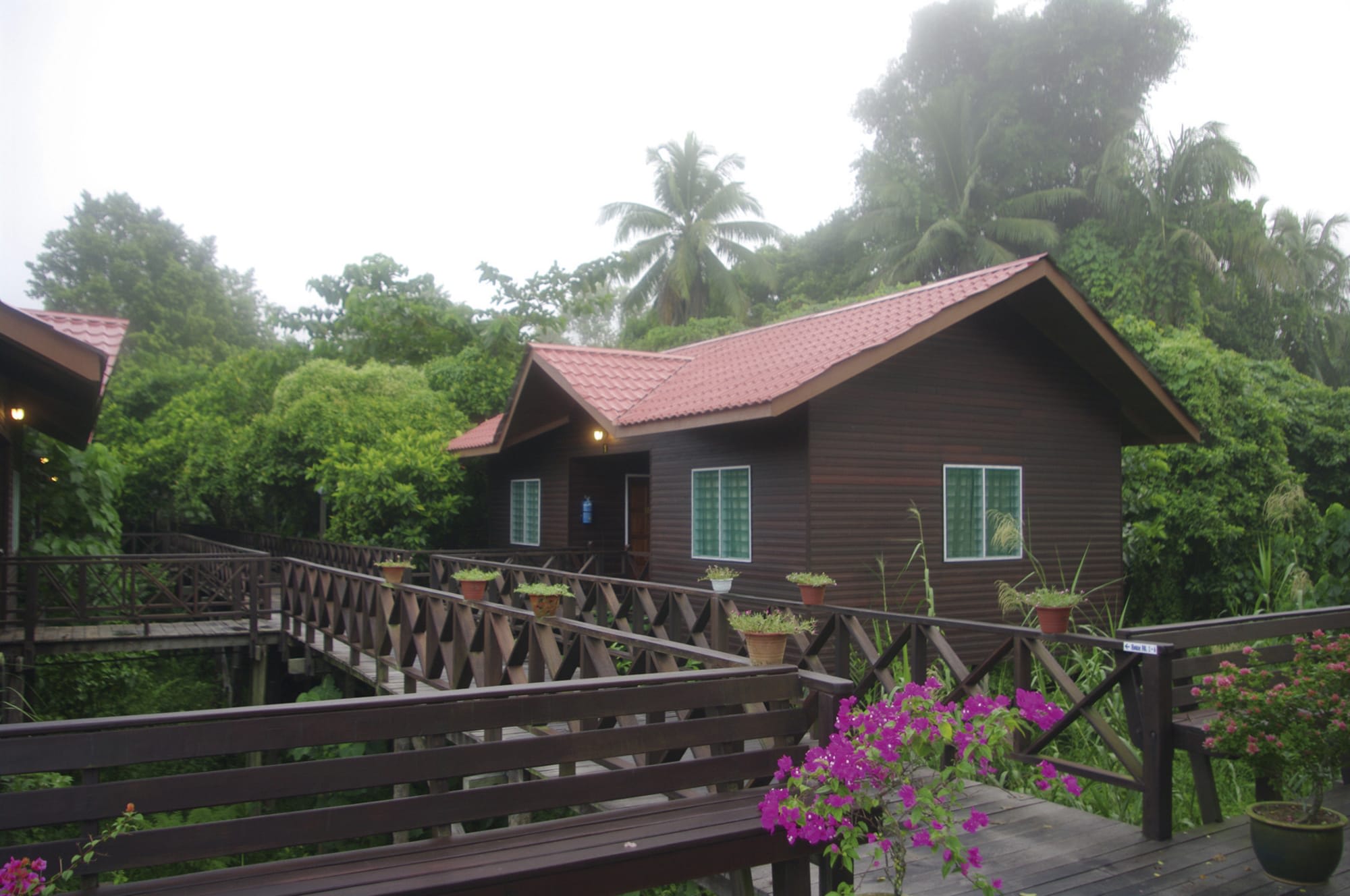 Borneo Wildlife - Tabin Wildlife Reserve ab Kota Kinabalu: Borneo Sabah Sandakan Kinabatangan Riverside Lodge
