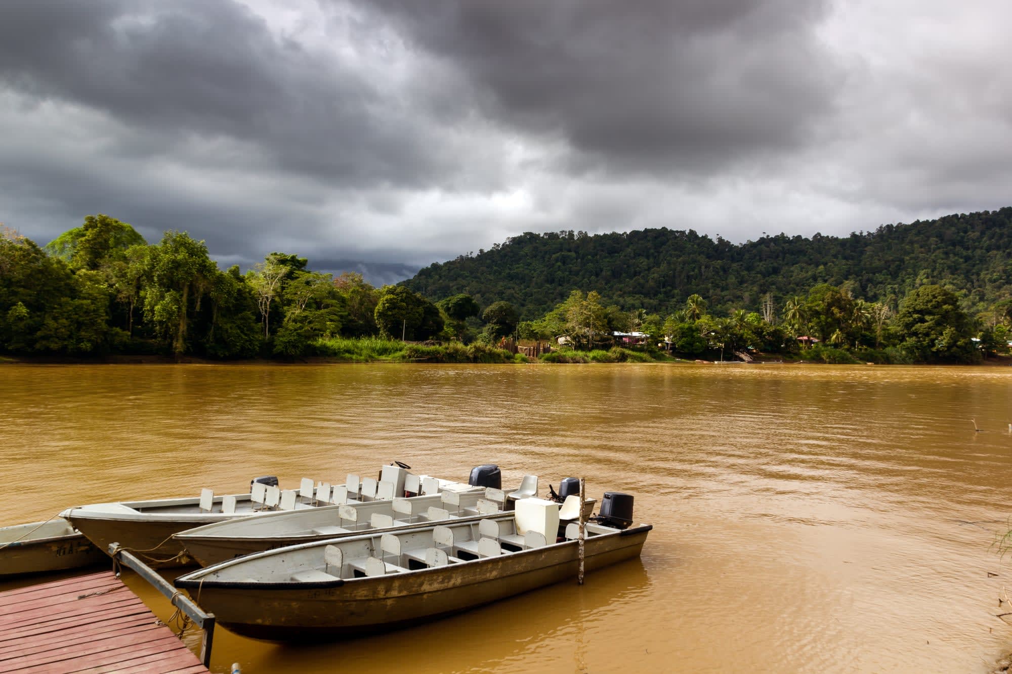 Borneo Wildlife - Tabin Wildlife Reserve ab Kota Kinabalu: Borneo Sabah Kinabatangan Fluss