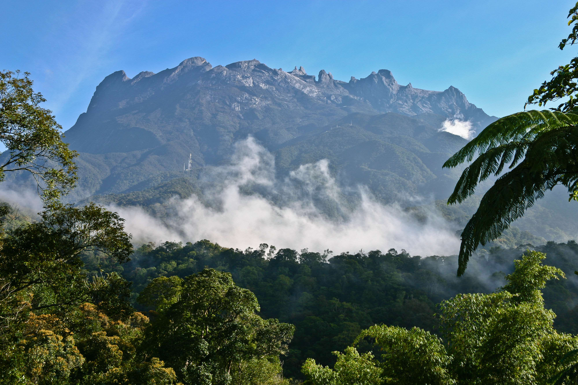 Besteigung Mount Kinabalu ab Kota Kinabalu:  Borneo Sabah Mount Kinabalu