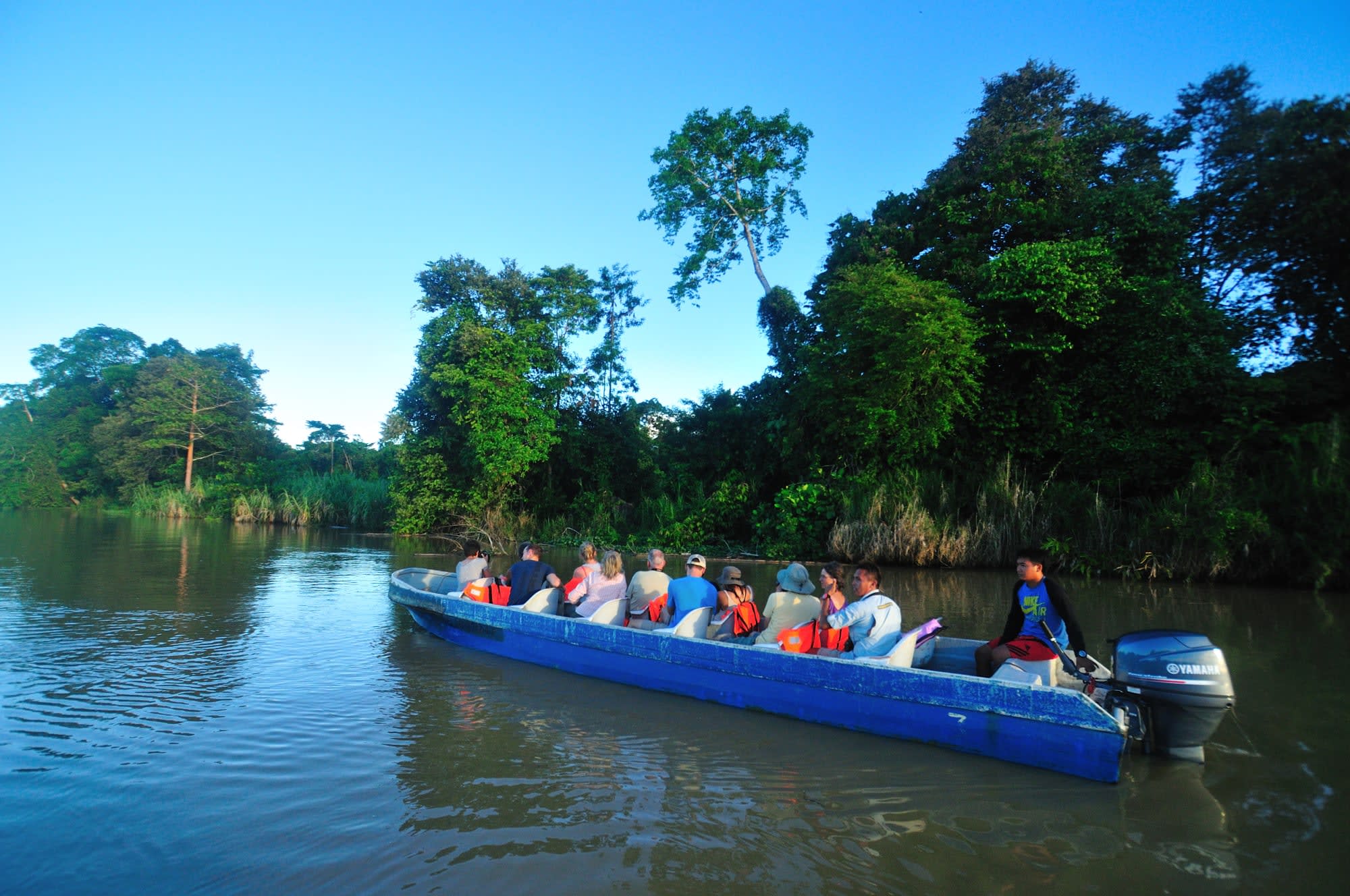 Borneo Wildlife - Tabin Wildlife Reserve ab Kota Kinabalu: Borneo Wildlife Flussfahrt