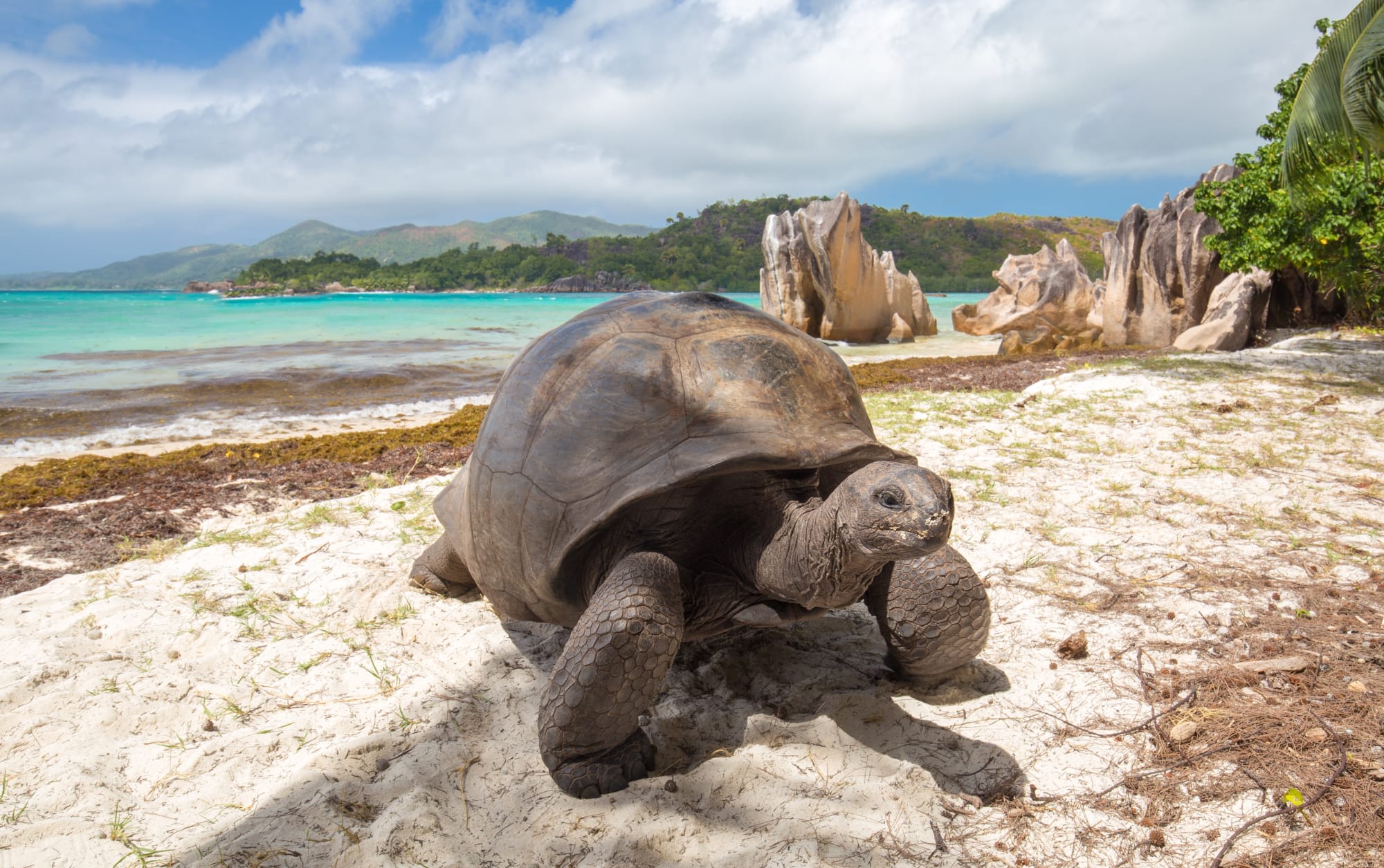 Inselhüpfen Praslin, La Digue & Mahé: Seychellen Curieuse Island