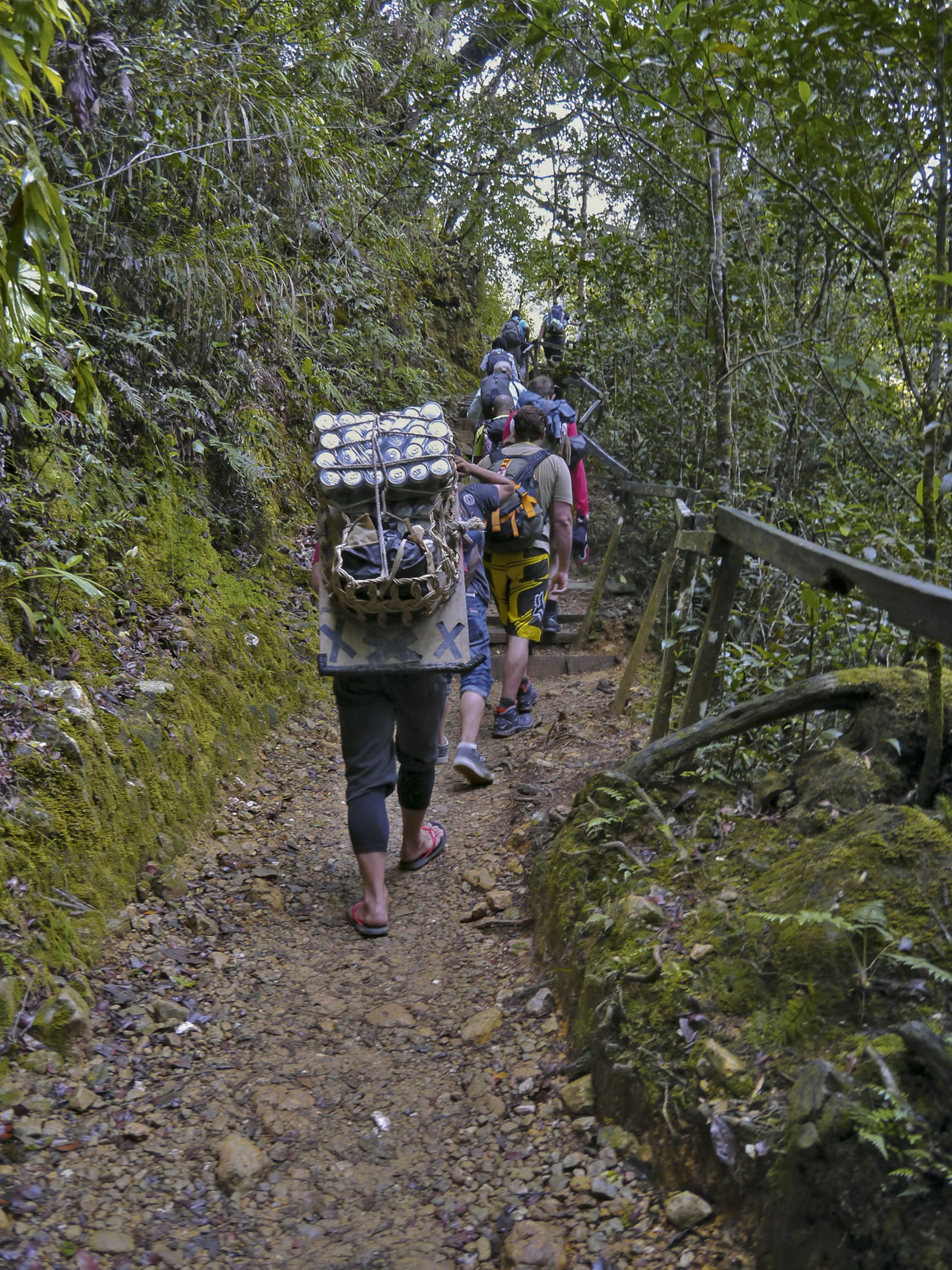 Besteigung Mount Kinabalu ab Kota Kinabalu: Borneo Sabah Mout Kinabalu Besteigung