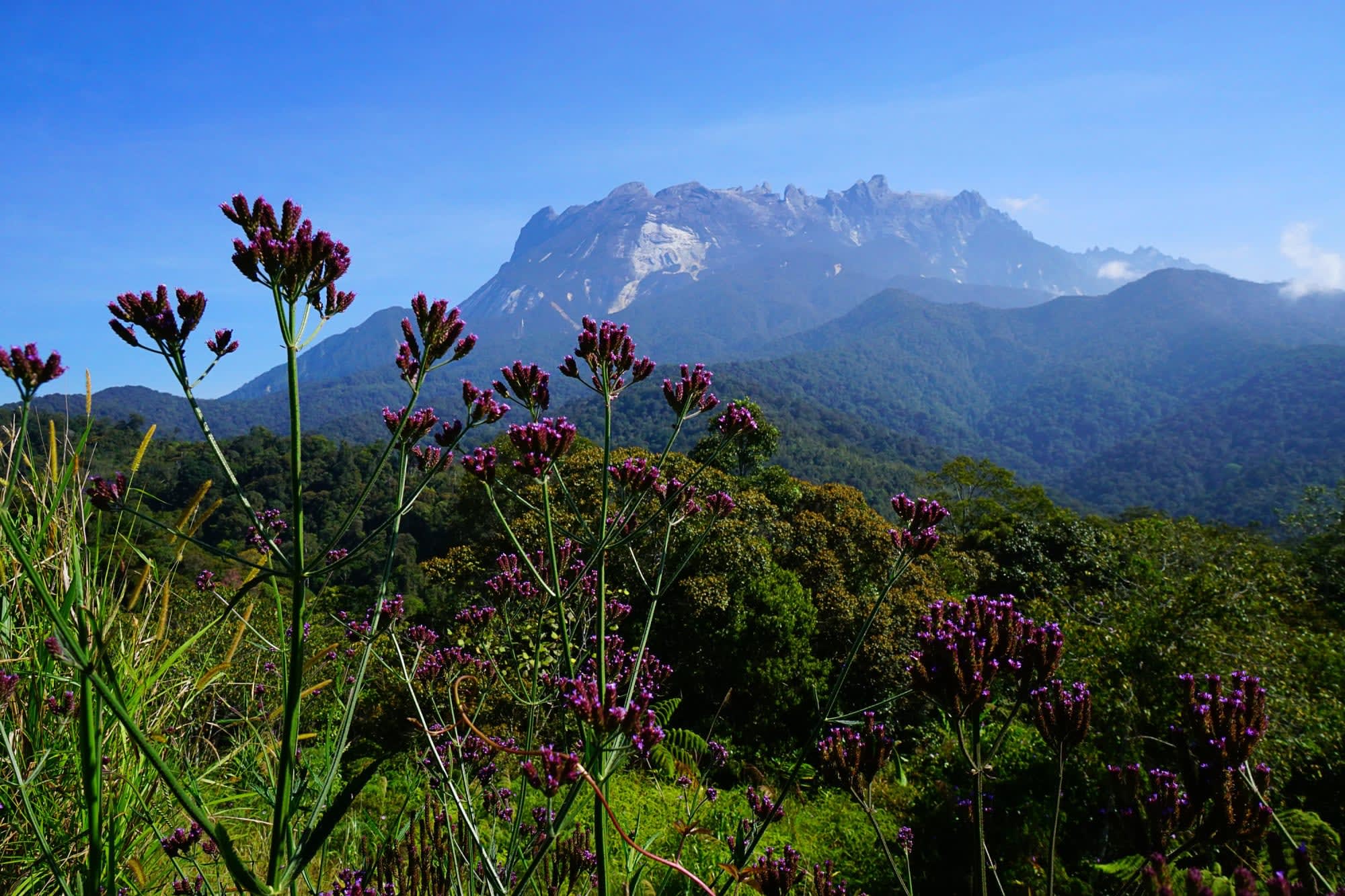 Besteigung Mount Kinabalu ab Kota Kinabalu: Borneo Sabah Mount Kinabalu Nationalpark