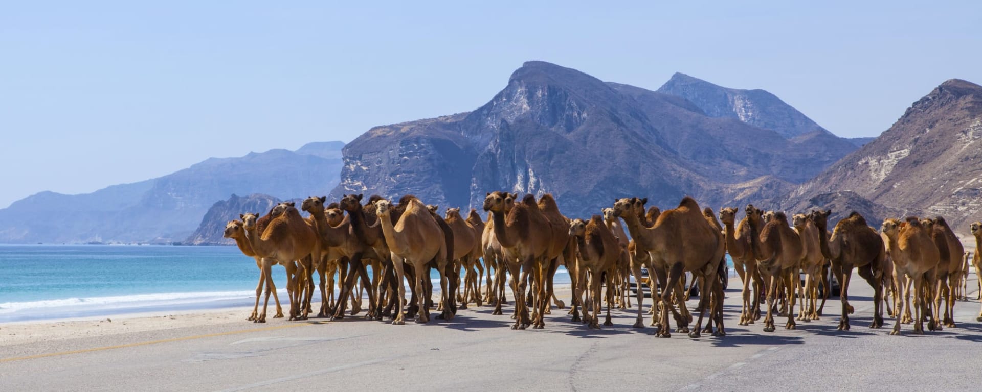 Abenteuer Dhofar - Küste & Wüste ab Salalah: Oman Salalah Kamele am Strand