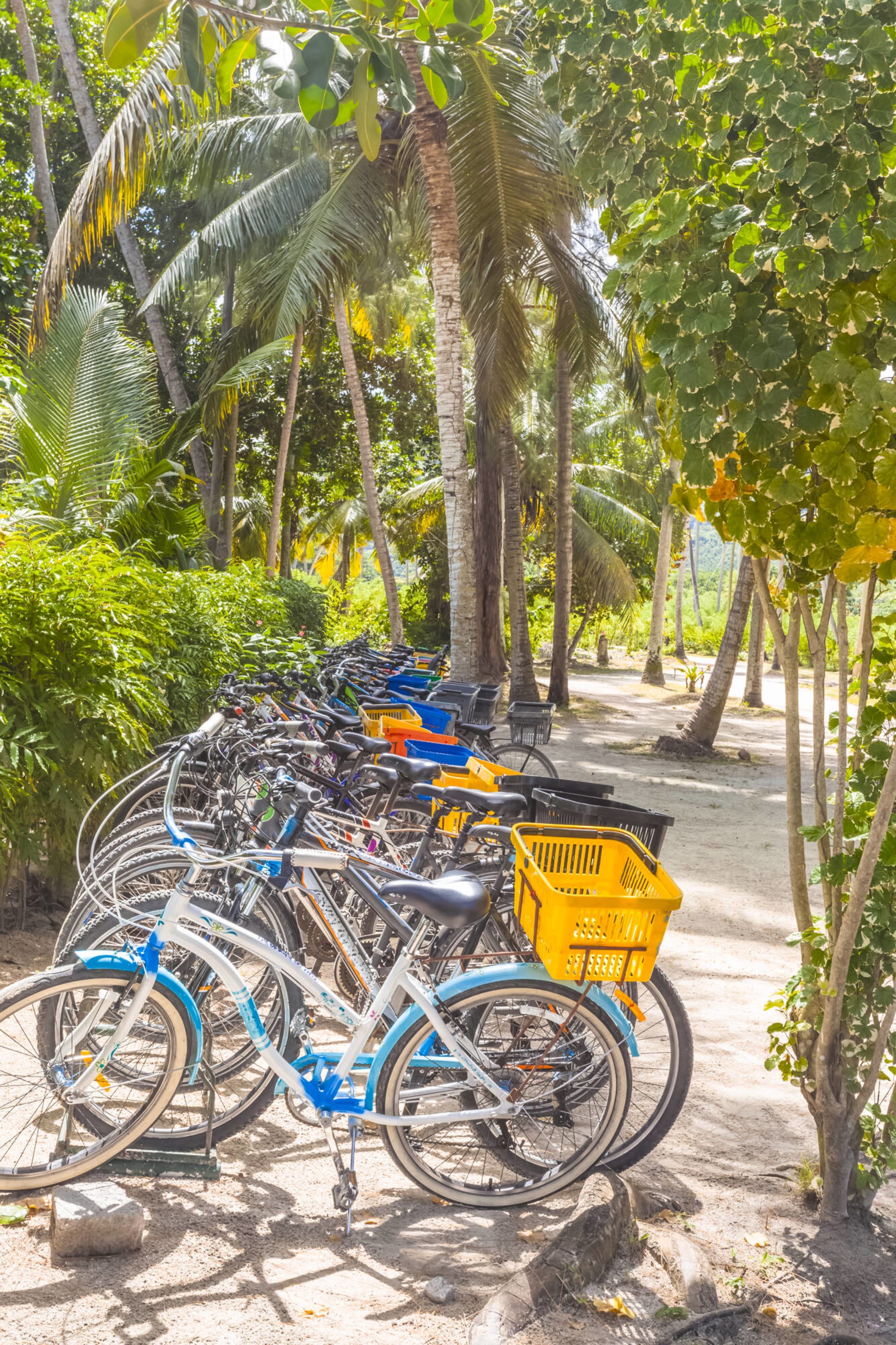 Islandhopping im Garten Eden (4 days/3 nights) ab Praslin: Seychellen La Digue Fahrräder 