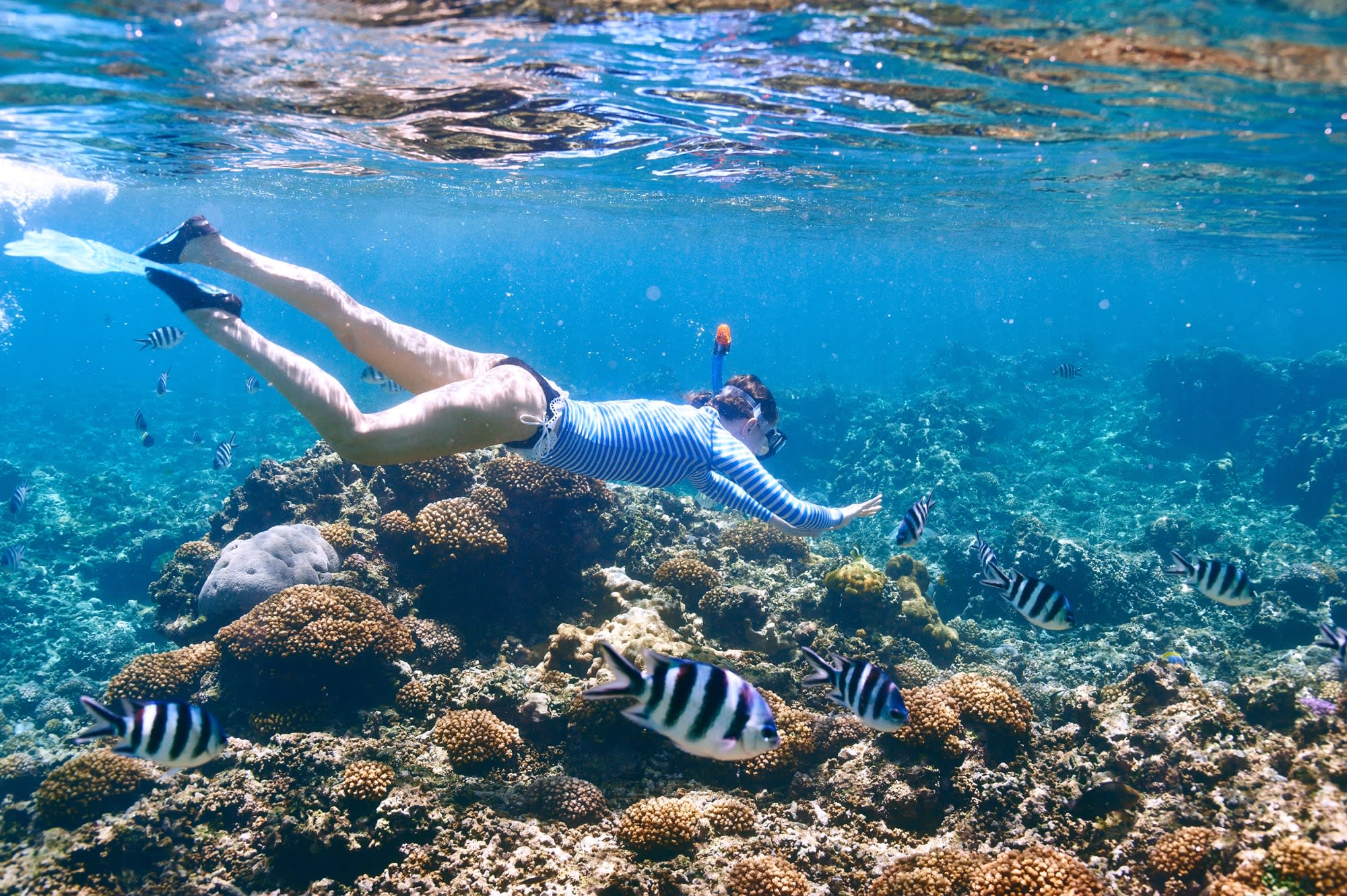 Islandhopping im Garten Eden (4 days/3 nights) ab Praslin: Seychellen Schnorcheln 