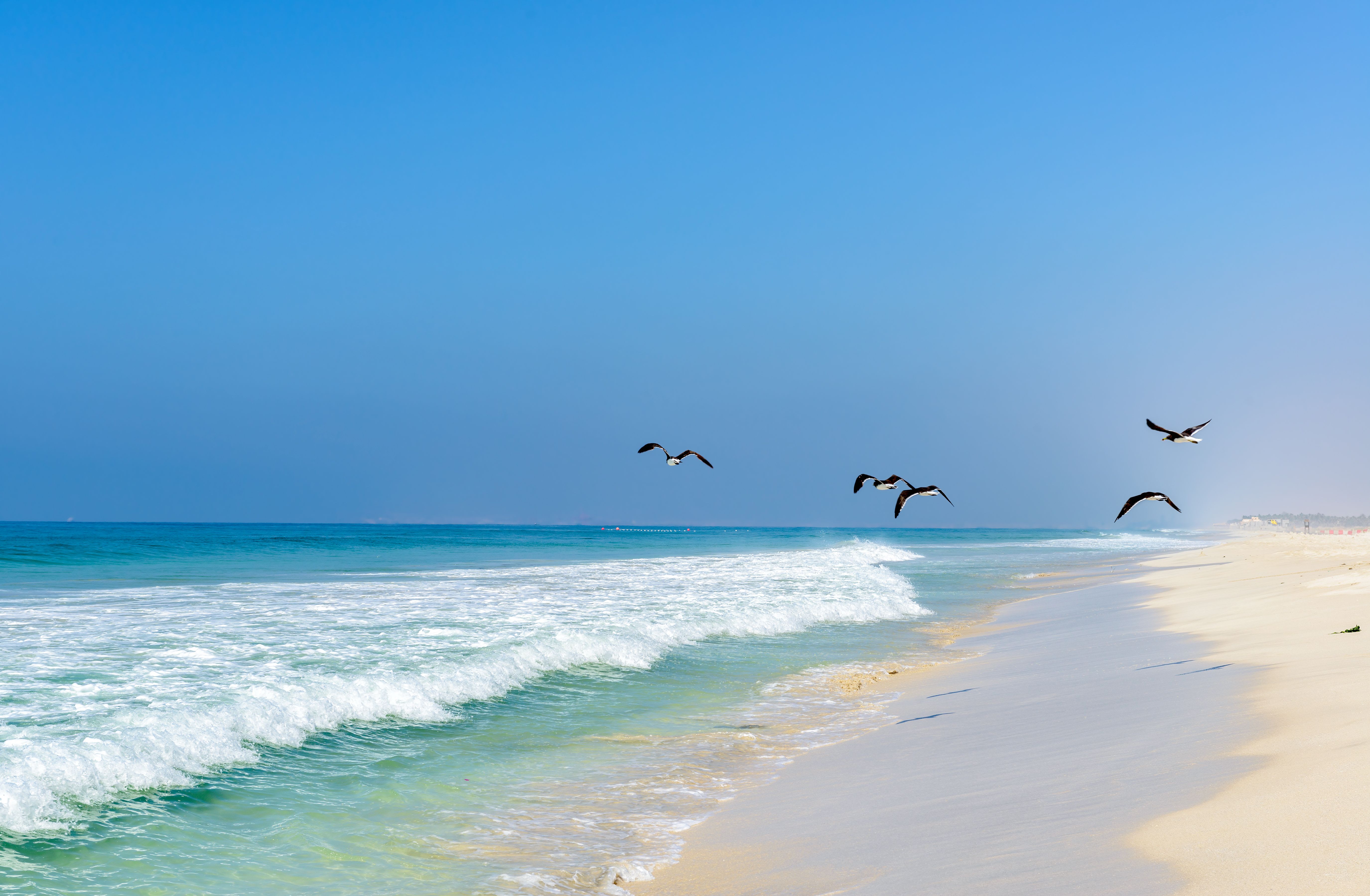 Abenteuer Dhofar - Küste & Wüste ab Salalah: Oman Dhofar Strand