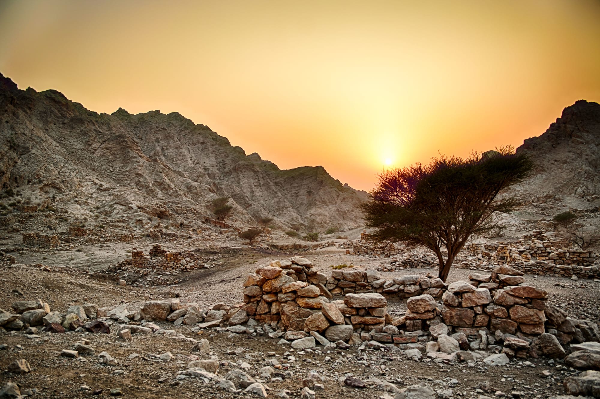 Erlebnis Wadi ab Muscat: Oman Hajjar Gebirge
