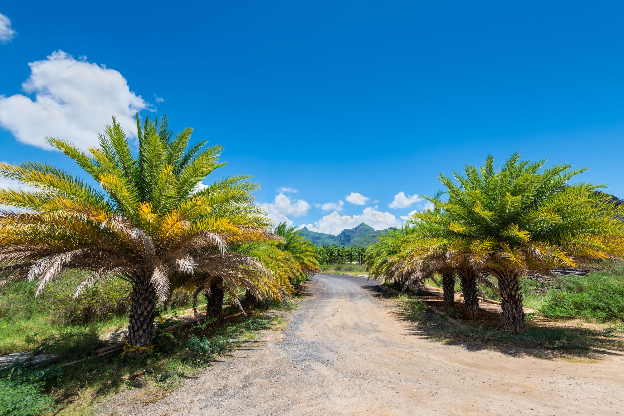 Mauritius entdecken ab Süd | Südwesten: Mauritius Landschaft