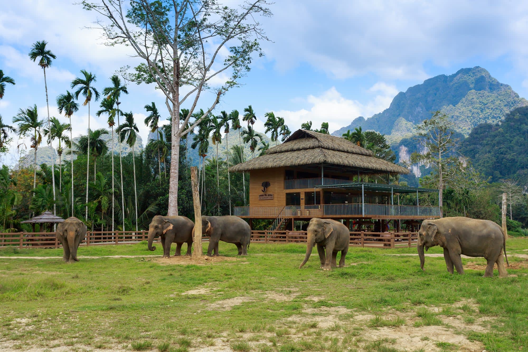 Familienabenteuer Thailand ab Bangkok: Thailand Khao Sok Nationalpark Elephant Hills Camp