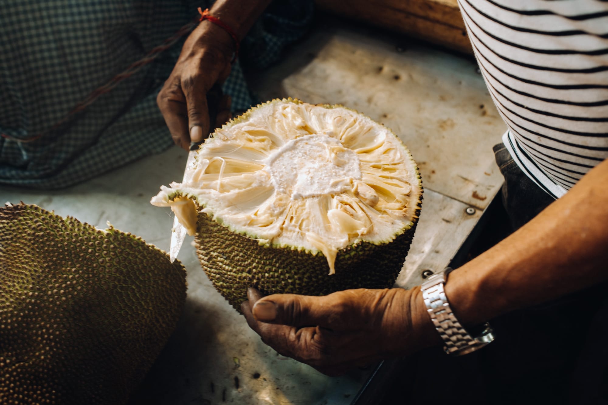 Mauritius entdecken ab Süd | Südwesten: Mauritius Port Louis Jackfruit