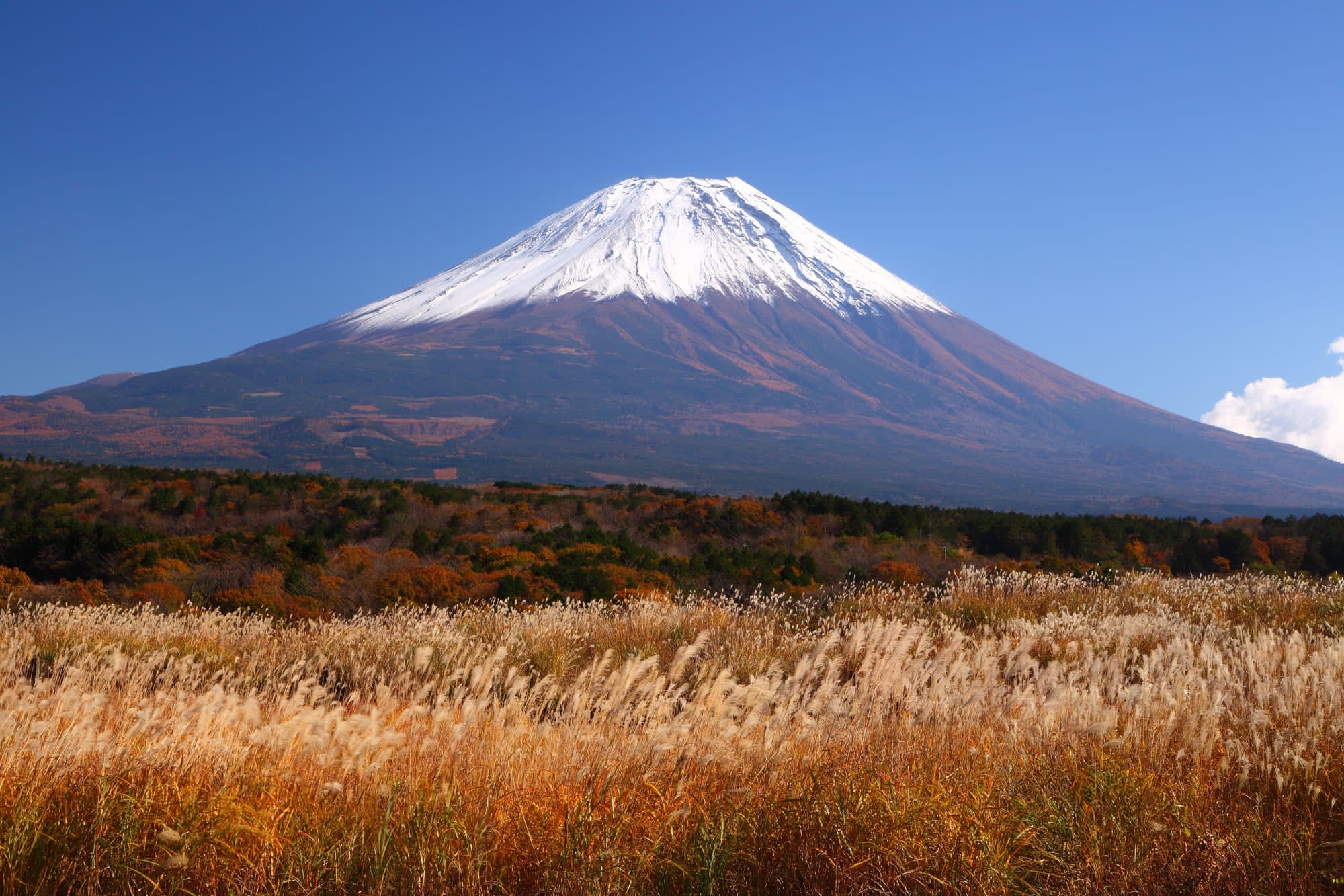 Mt. Fuji Besteigung | Hauptsaison JUN-SEP ab Tokio: Japan Mount Fuji