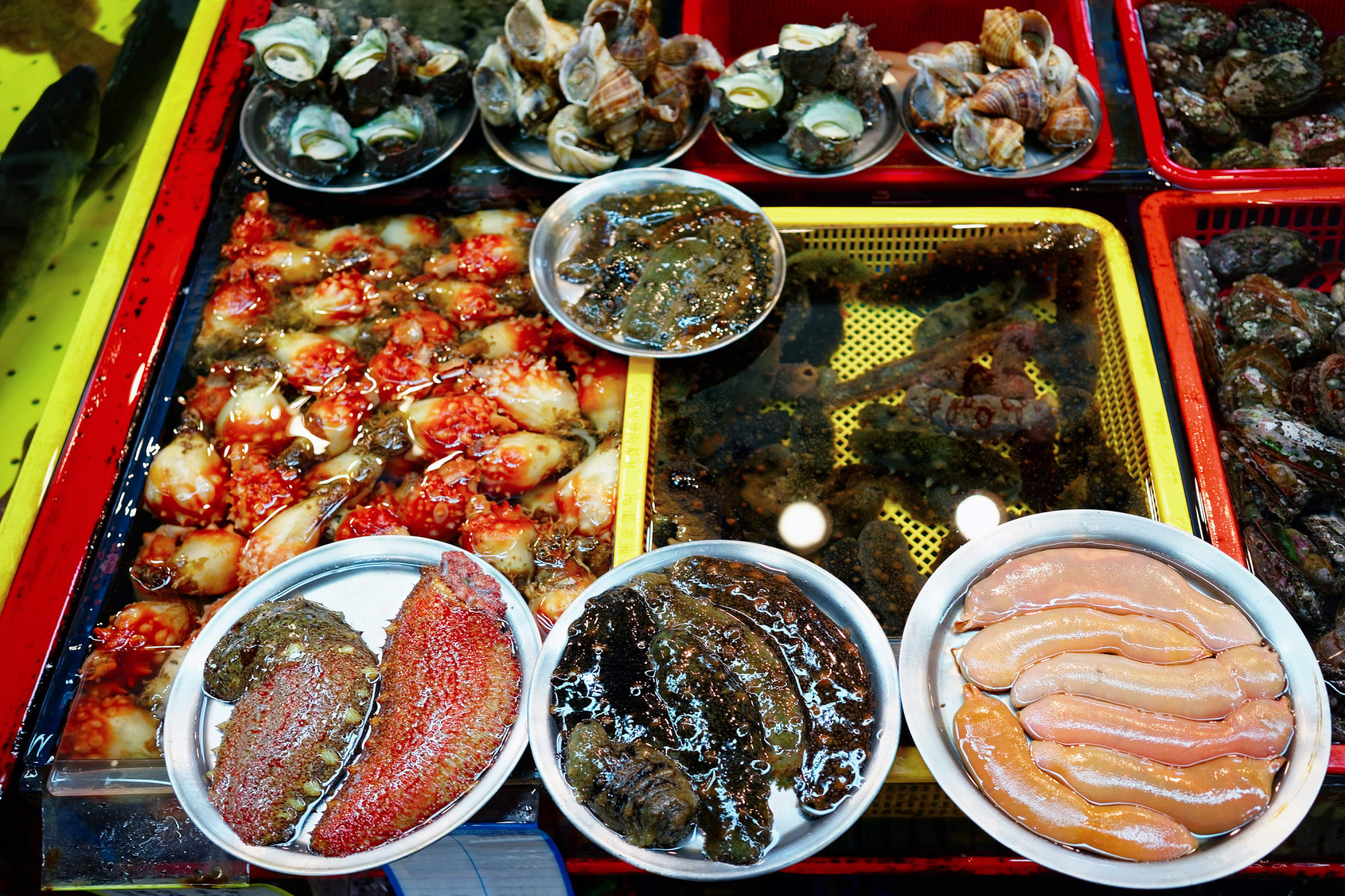Südkorea individuell mit dem Zug ab Seoul: Südkorea Busan Fischmarkt