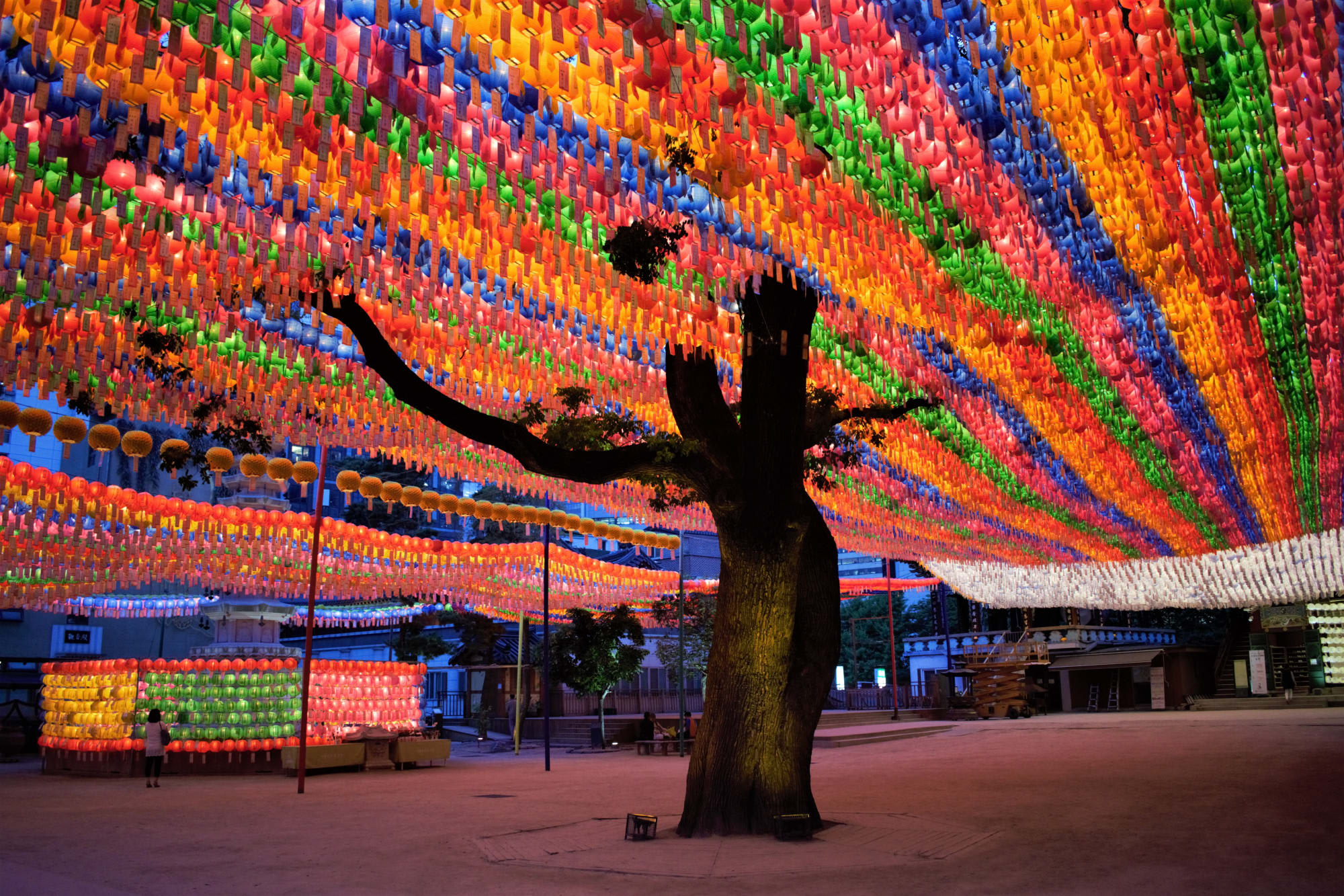 Südkorea individuell mit dem Zug ab Seoul: Südkorea Seoul Jogyesa Tempel Laternen