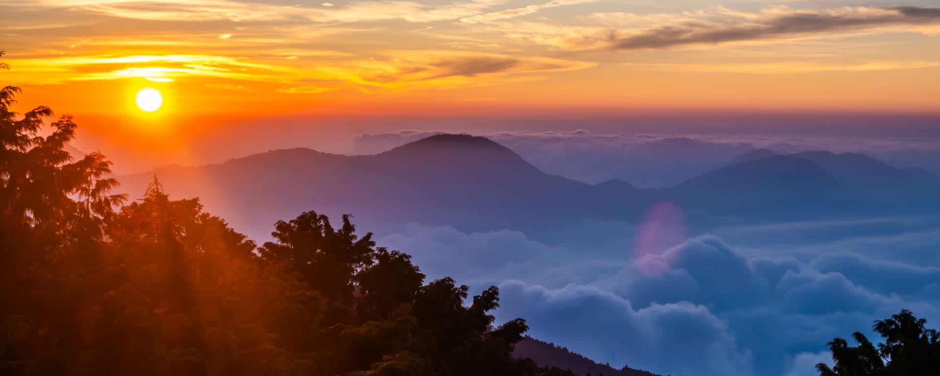 Sonne-Mond-See & Teeregion Alishan ab Taipei: Taiwan Alishan National Forest Recreation Area