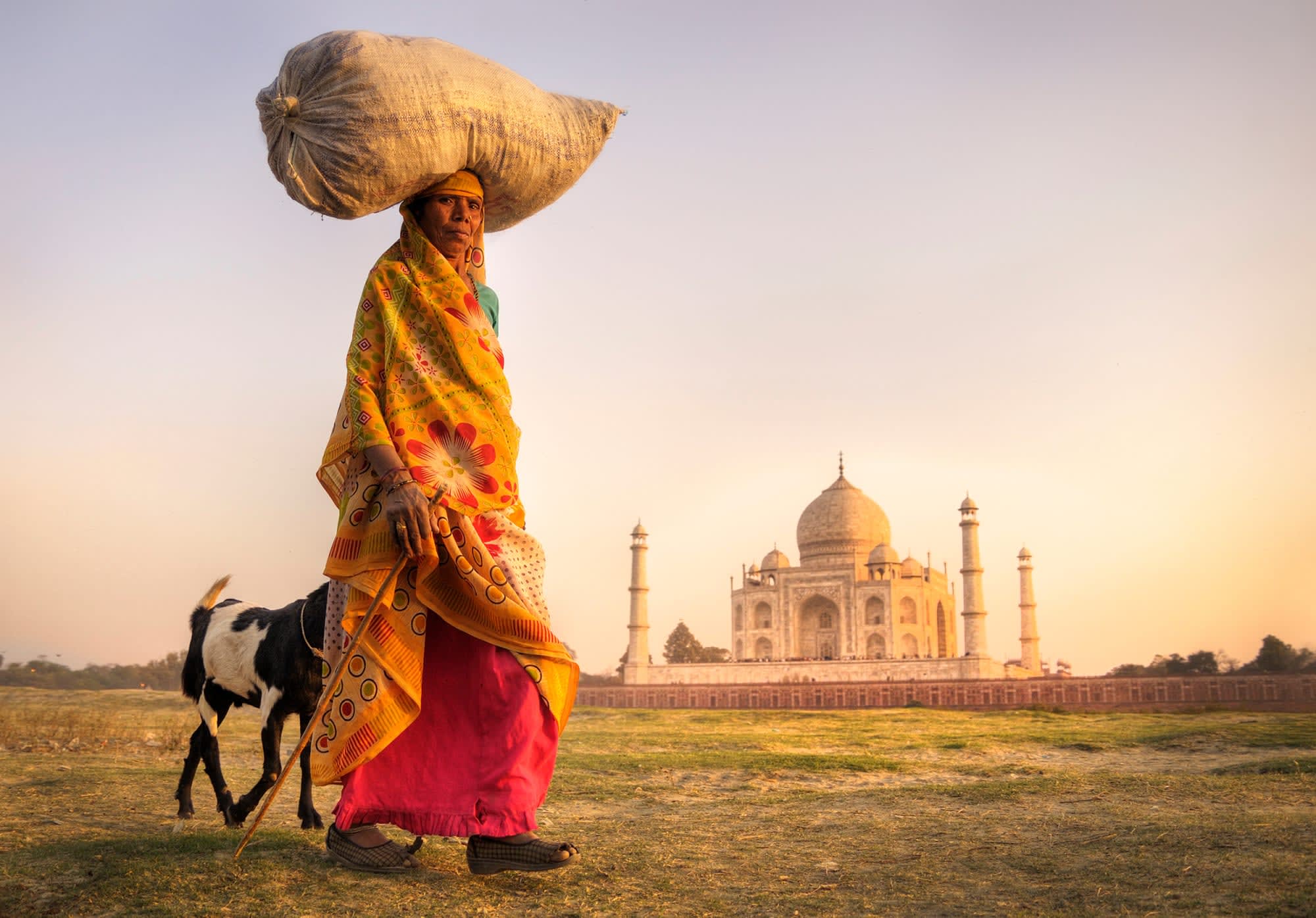Incredible India ab Delhi: Indien Agra Taj Mahal