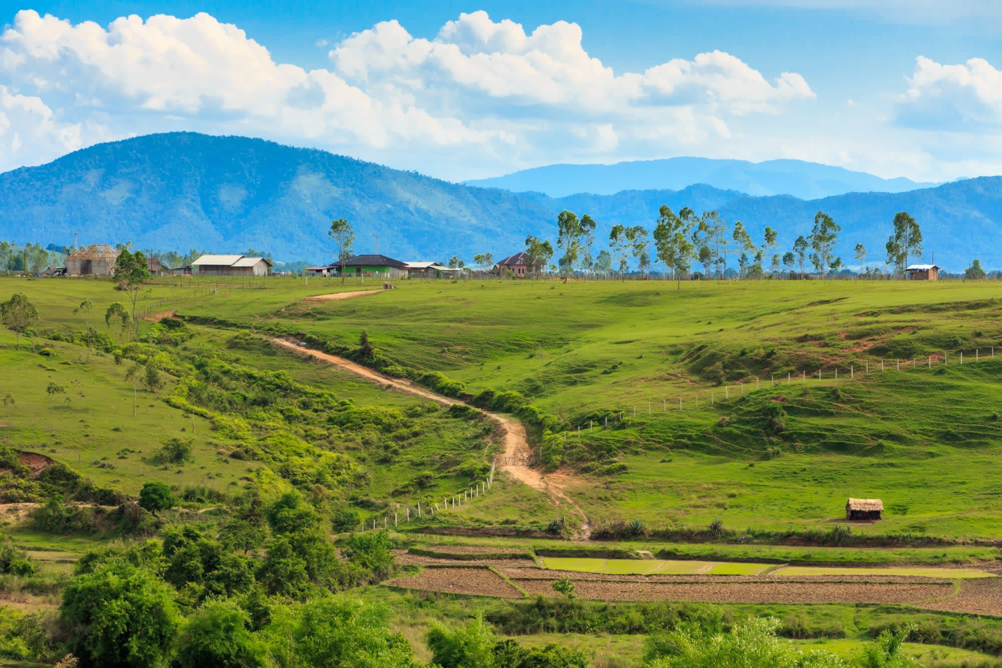 Ebene der Tonkrüge ab Luang Prabang: Laos Xieng Khouang Landschaft