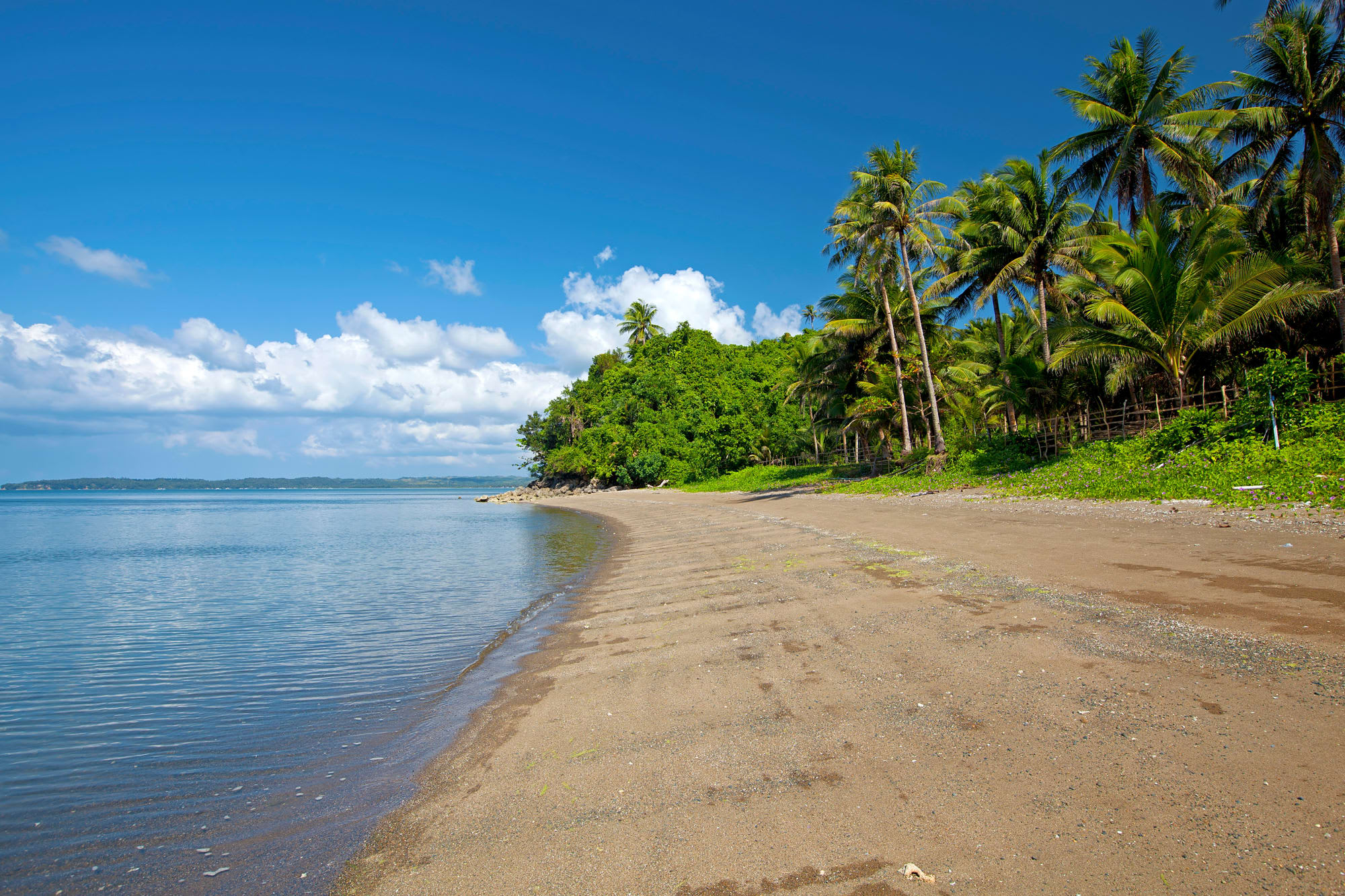 Auf Tuchfühlung mit Walhaien ab Manila: Philippinen Donsol Strand