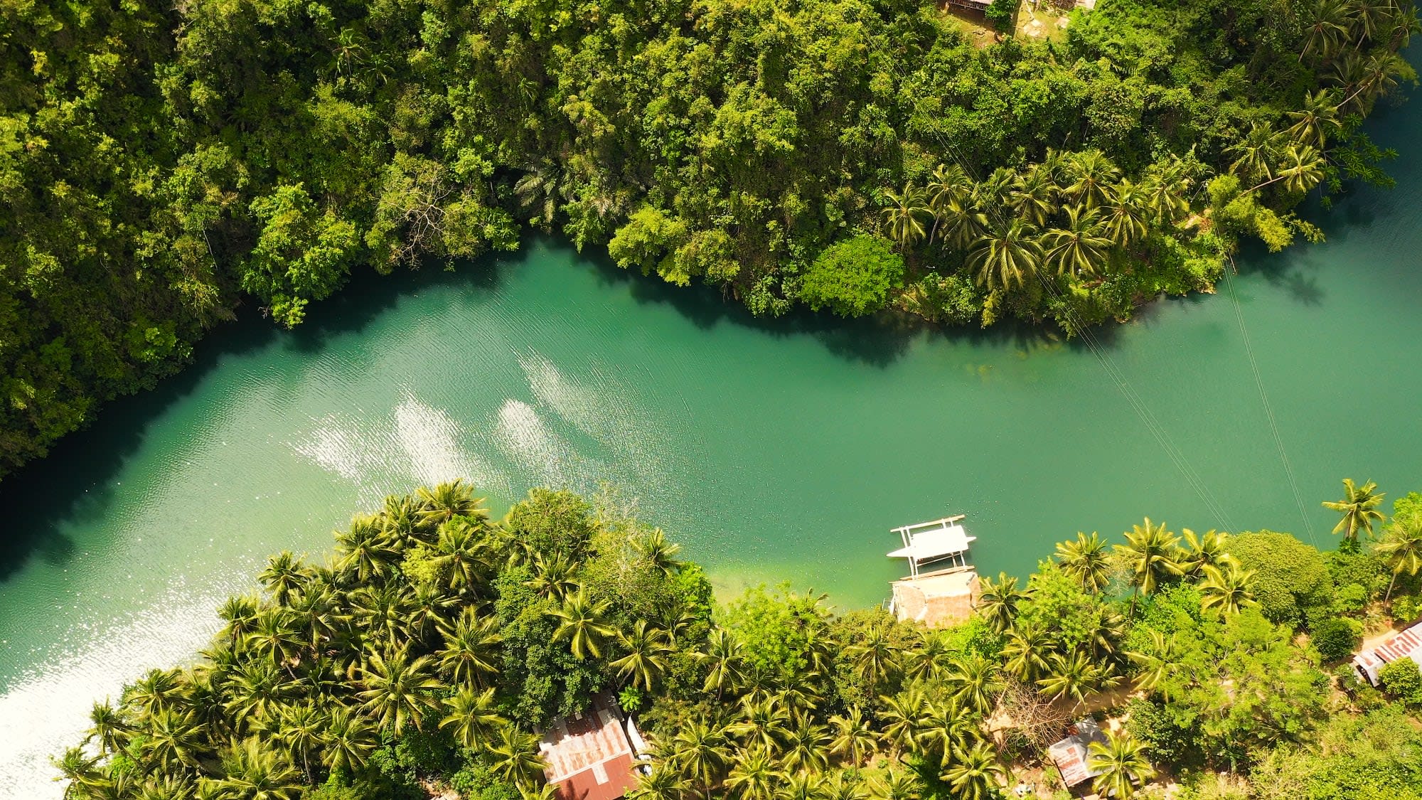 Südliche Visayas: Inselhüpfen, Schokoladenhügel und Koboldmakis ab Bohol: Philippinen Bohol Lobac River