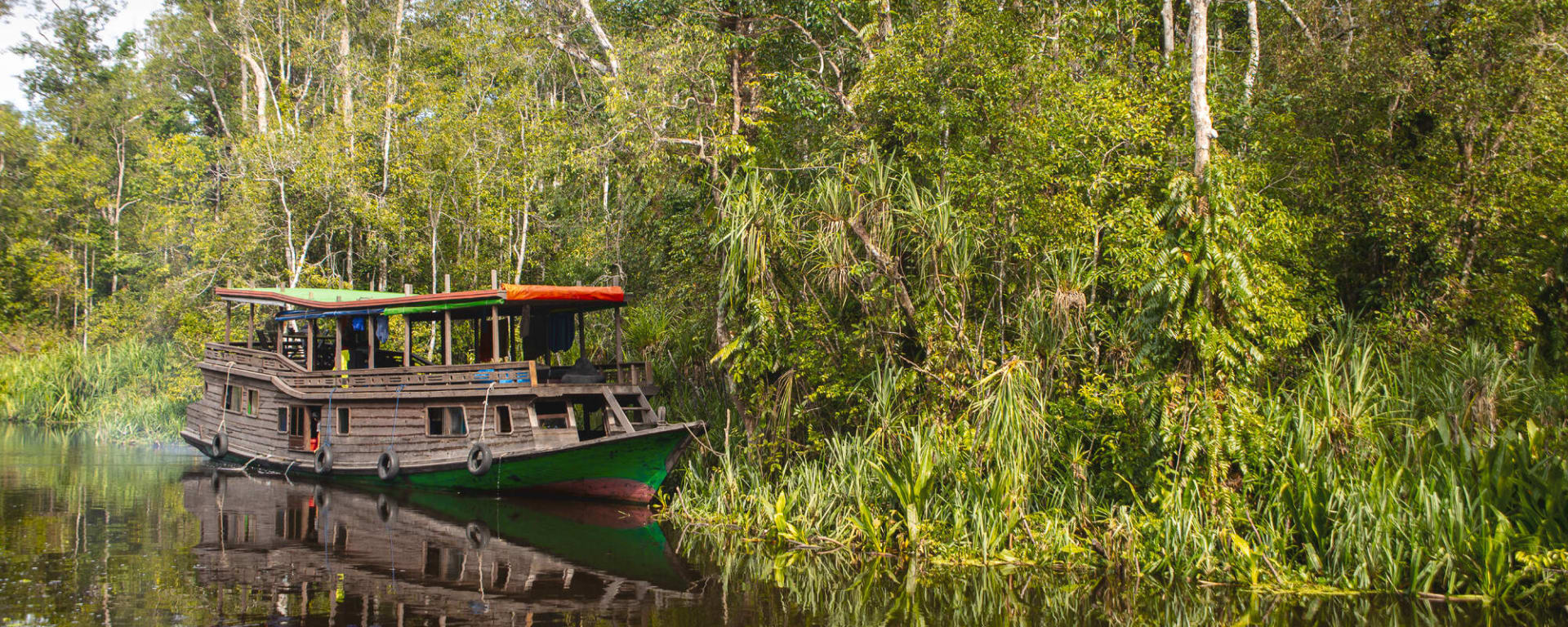 Tanjung Puting Nationalpark ab Palangkaraya: Indonesien Kalimantan Tanjung Puting NP Klotok