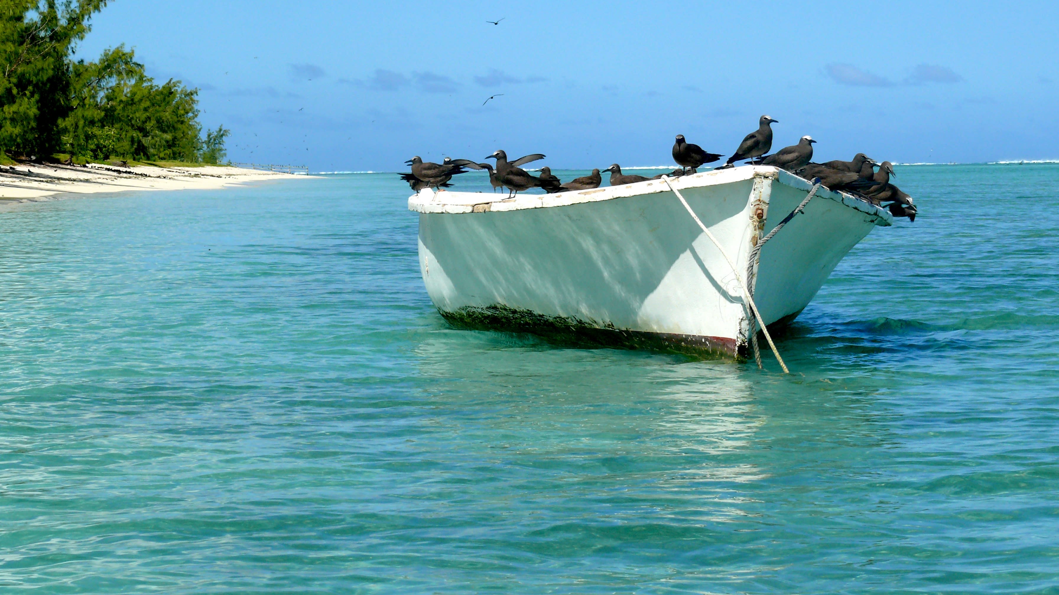 Rodrigues entdecken: Rodrigues Ile aux Cocos