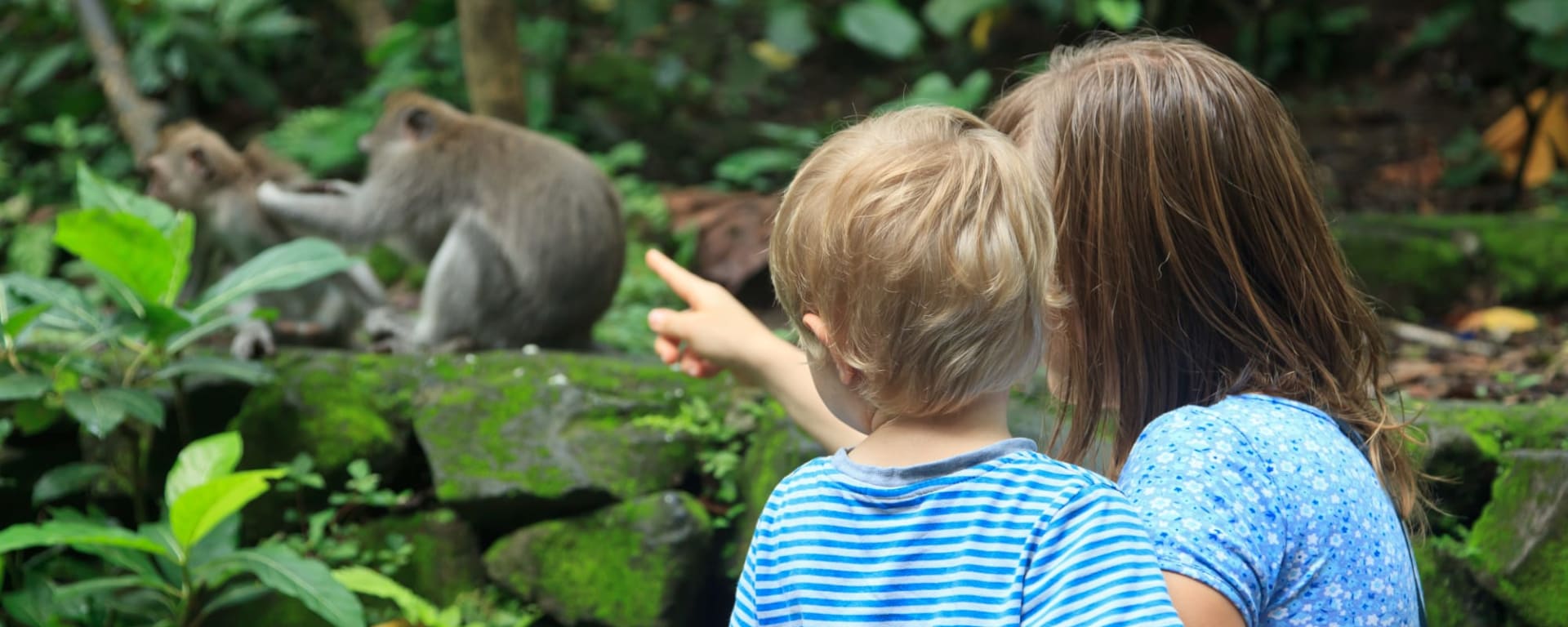 Familienabenteuer Bali ab Süd-Bali: Indonesien Bali Ubud Monkey Forest