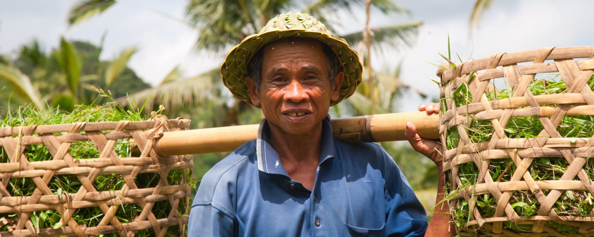 Soft Adventure Bali ab Süd-Bali: Indonesien Bali Reisfarmer