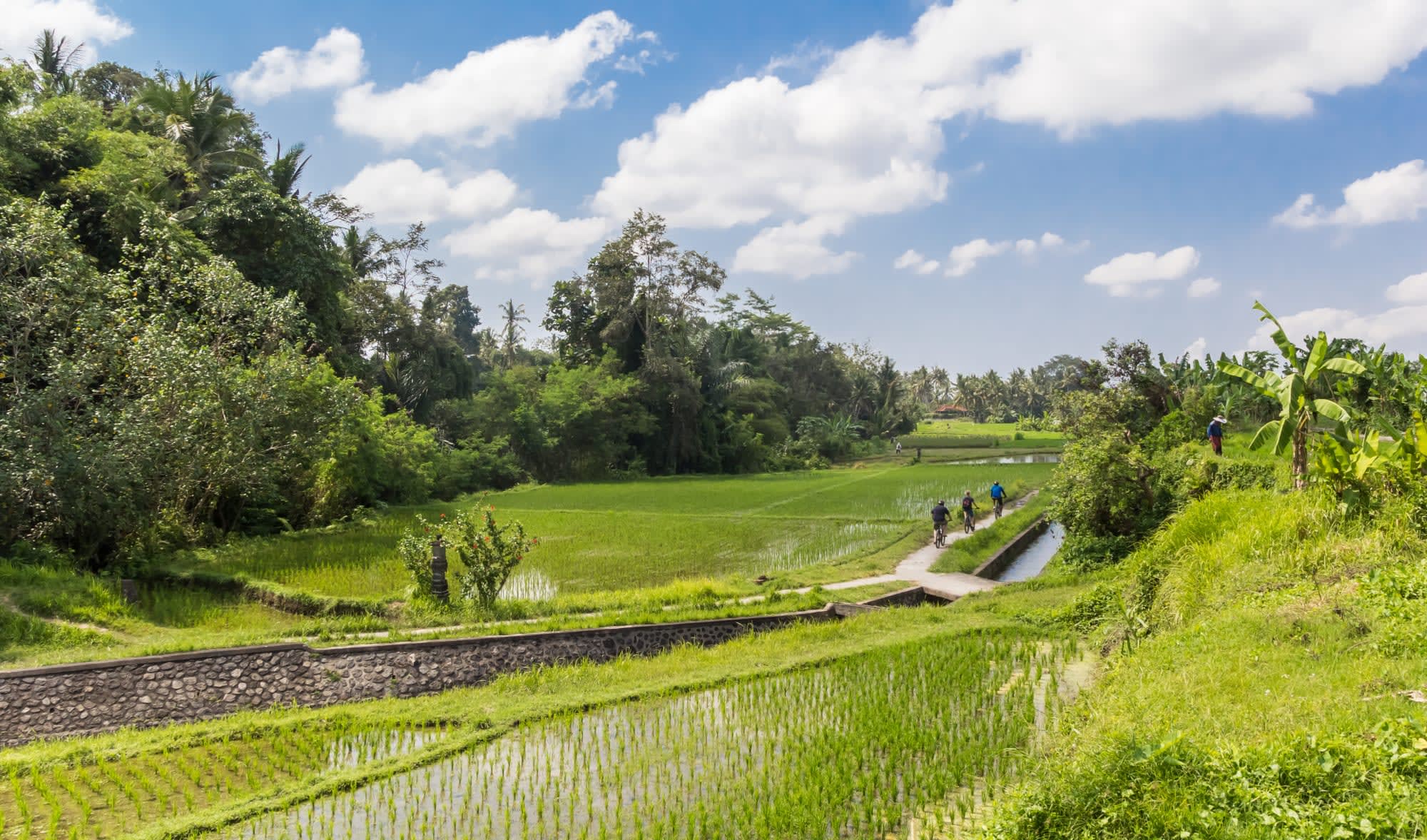Familienabenteuer Bali ab Süd-Bali: Indonesien Bali Biketour