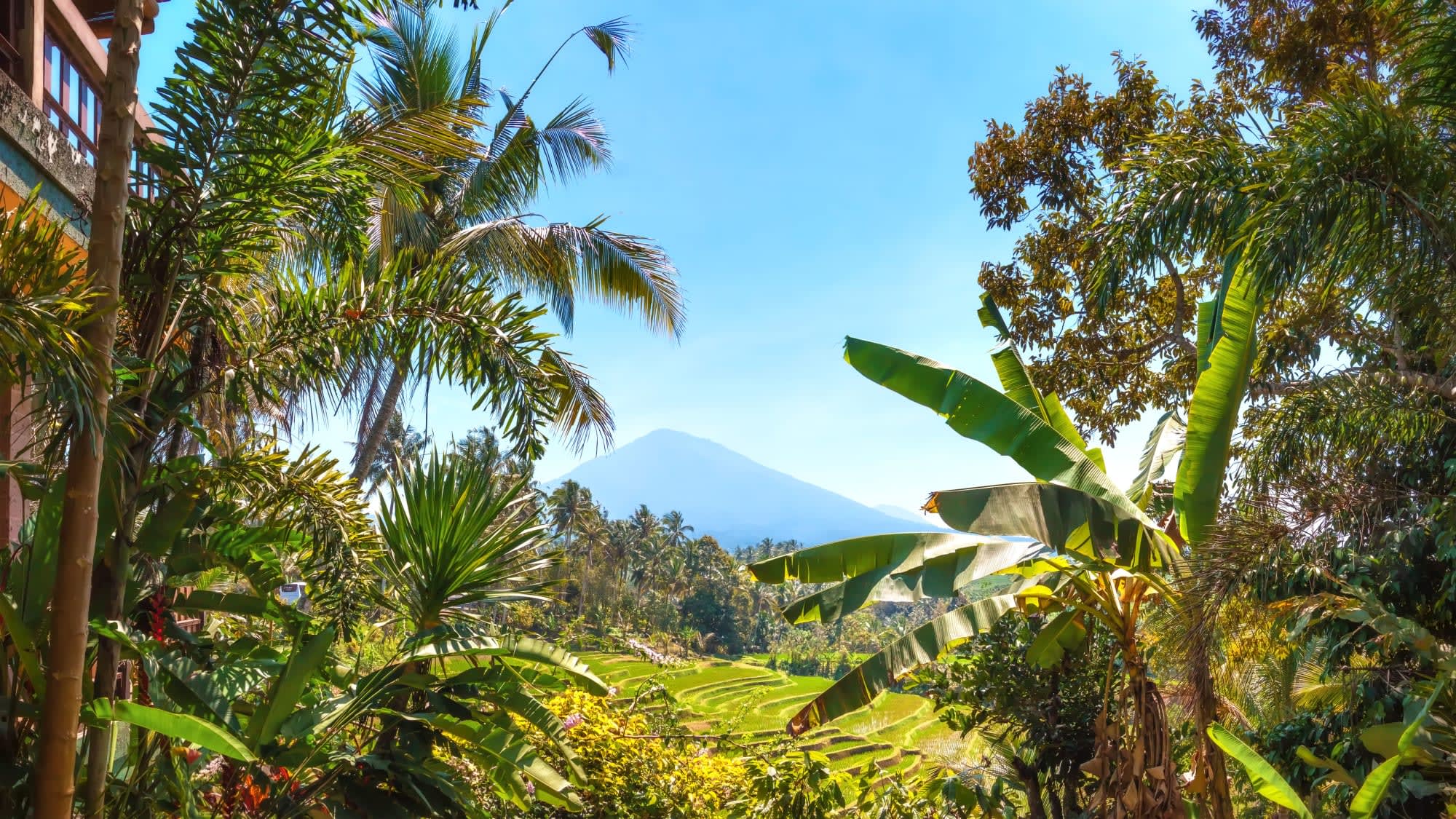 Soft Adventure Bali ab Süd-Bali: Indonesien Bali Batukaru