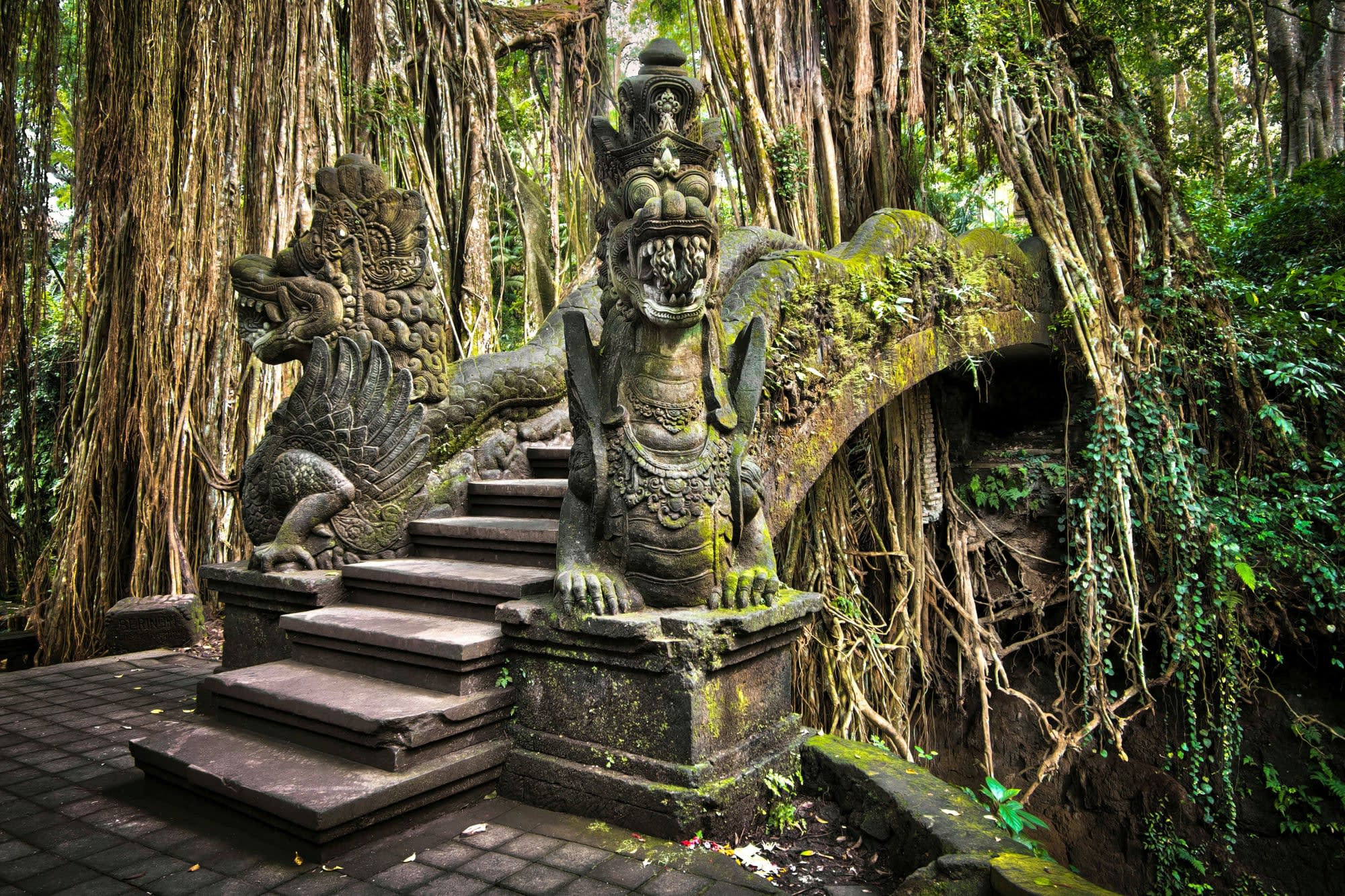 Soft Adventure Bali ab Süd-Bali: Indonesien Bali Ubud Affenwald