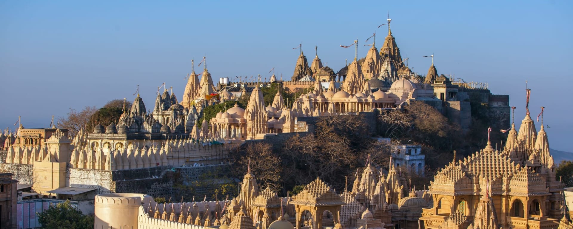 Von Gujarat nach Rajasthan ab Gujarat | Ahmedabad: Indien Palitana Jain Tempel