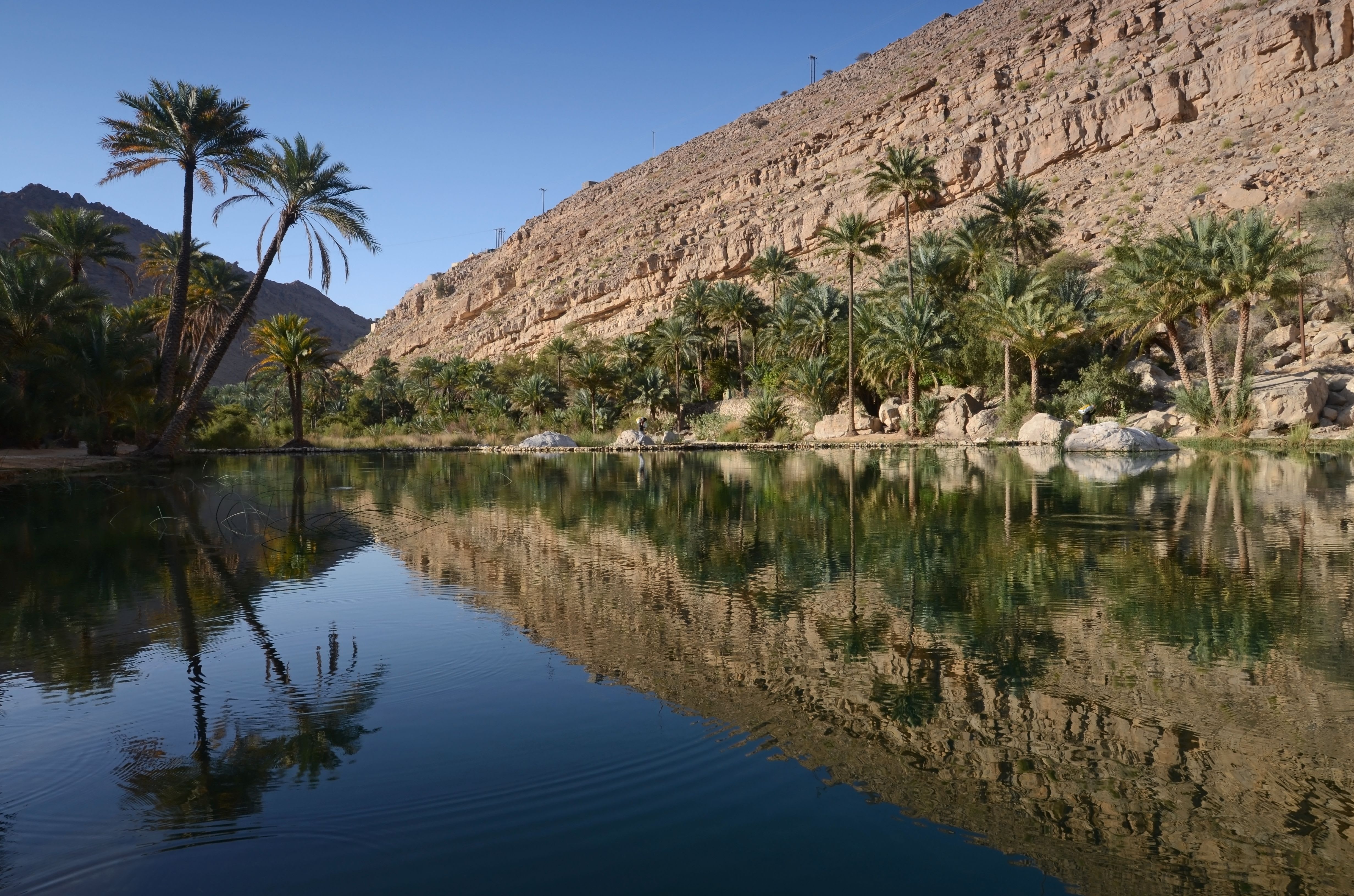 Geheimnisse Omans ab Muscat: Oman Wadi Bani Khalid