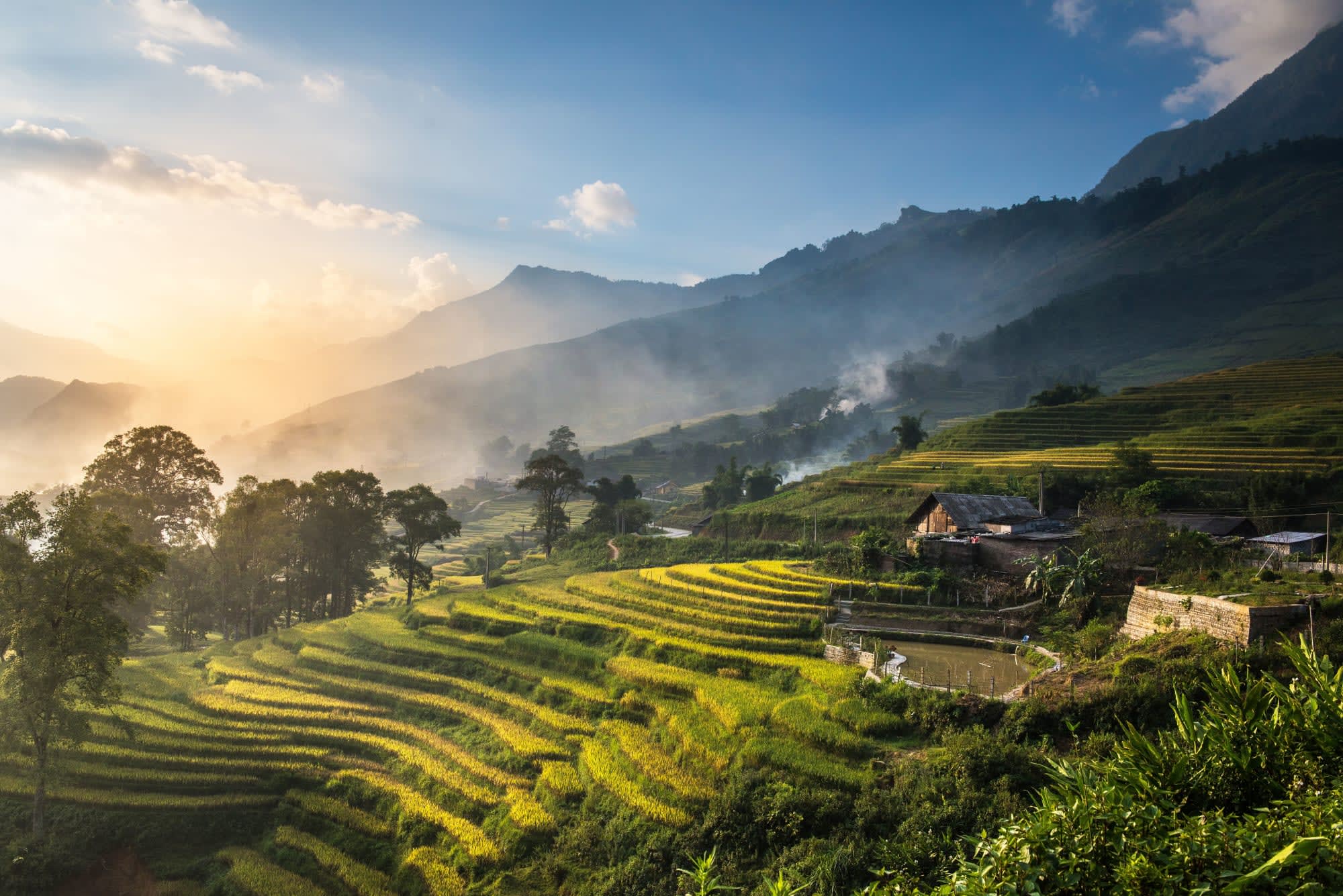 Natur & Kultur Sapa ab Hanoi: Vietnam Sapa Reisfeld