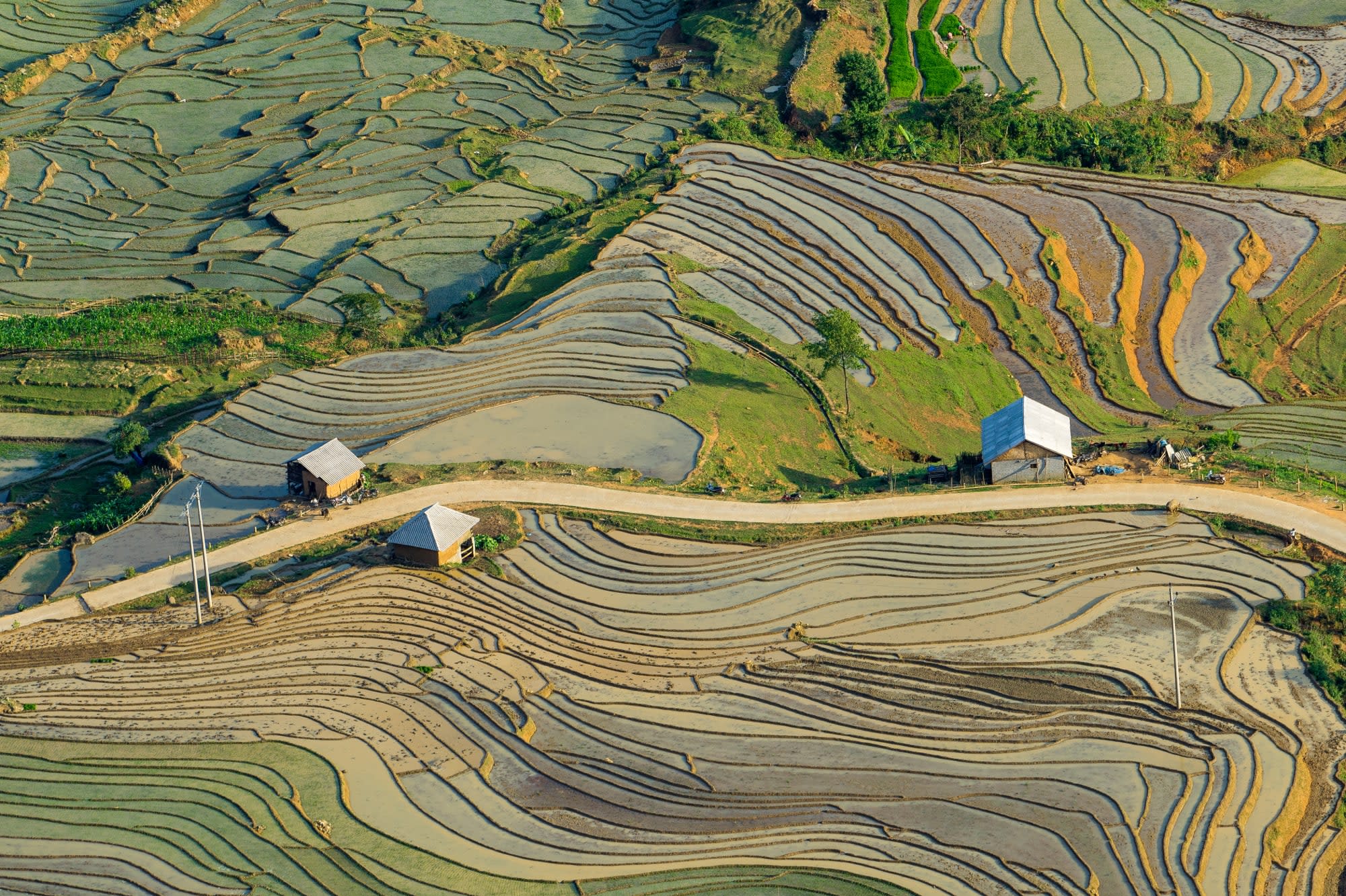 Natur & Kultur Sapa ab Hanoi: Vietnam Lao Cai Reisfeld