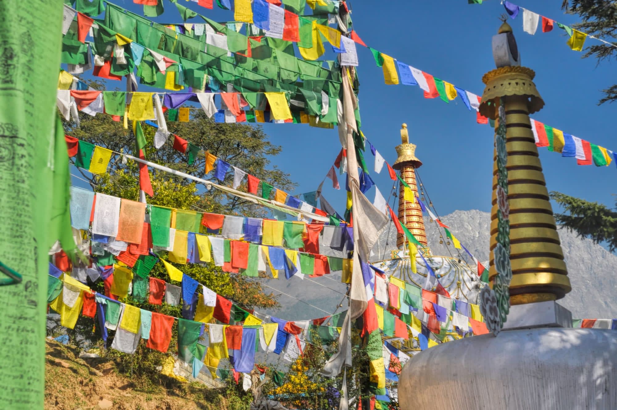 Goldener Tempel & Mythos Himalaya ab Delhi: Indien Dharamsala Buddhistische Flaggen