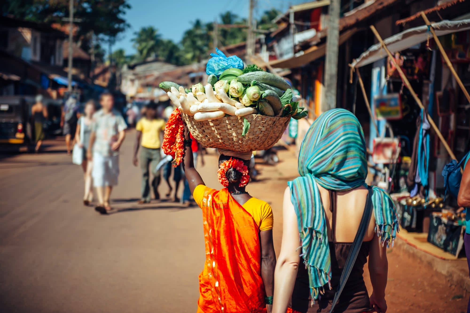Backwaters Intensiv ab Kerala | Malabarküste | Kochi: Indien Kerala Markt 