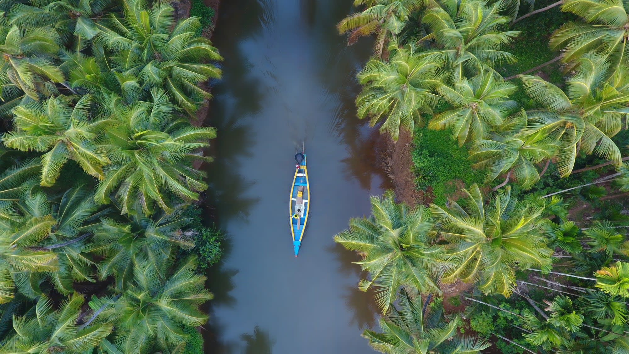 Backwaters Intensiv ab Kerala | Malabarküste | Kochi: Indien Kerala Backwaters Luftaufnahme
