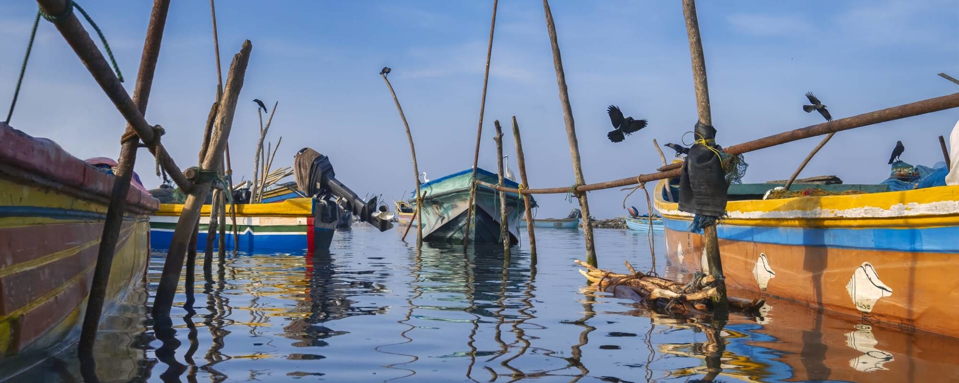 Sri Lanka's ursprünglicher Norden ab Colombo: Sri Lanka Jaffna Fischerboote