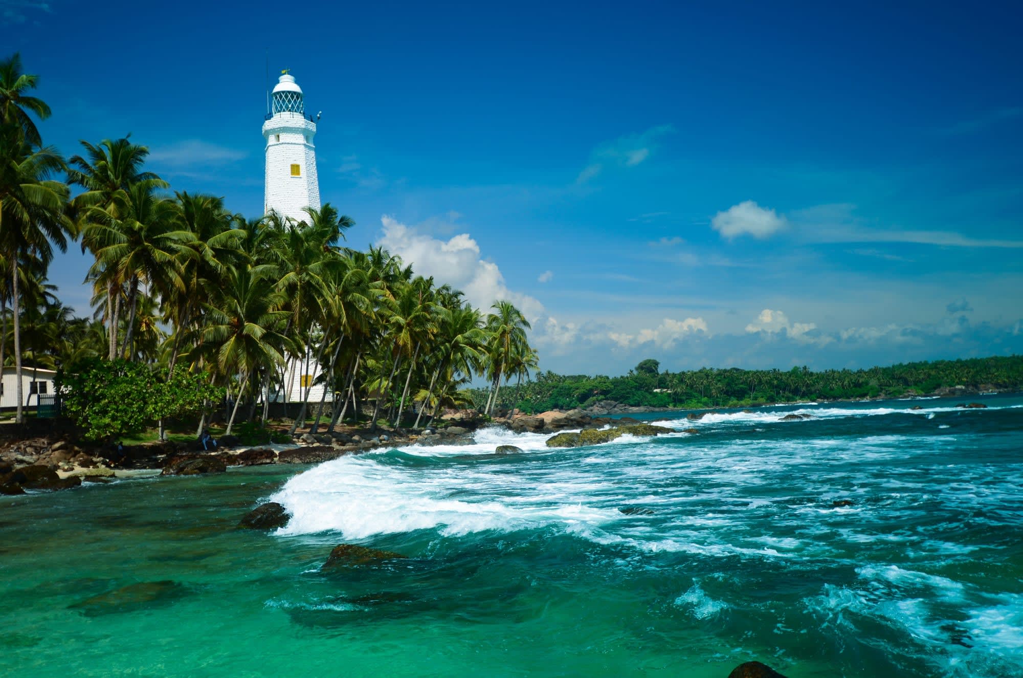 Sri Lanka's ursprünglicher Norden ab Colombo: Sri Lanka Colombo Leuchtturm