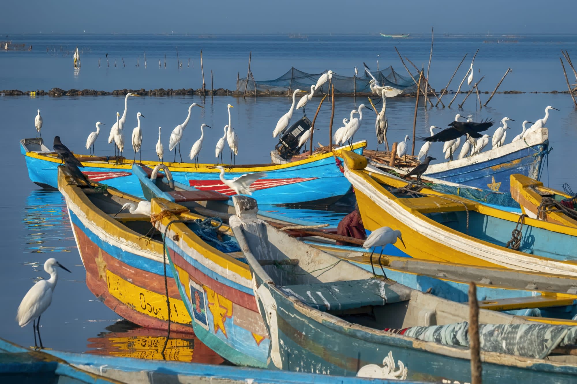 Sri Lanka's ursprünglicher Norden ab Colombo: Sri Lanka Jaffna Fischerboote