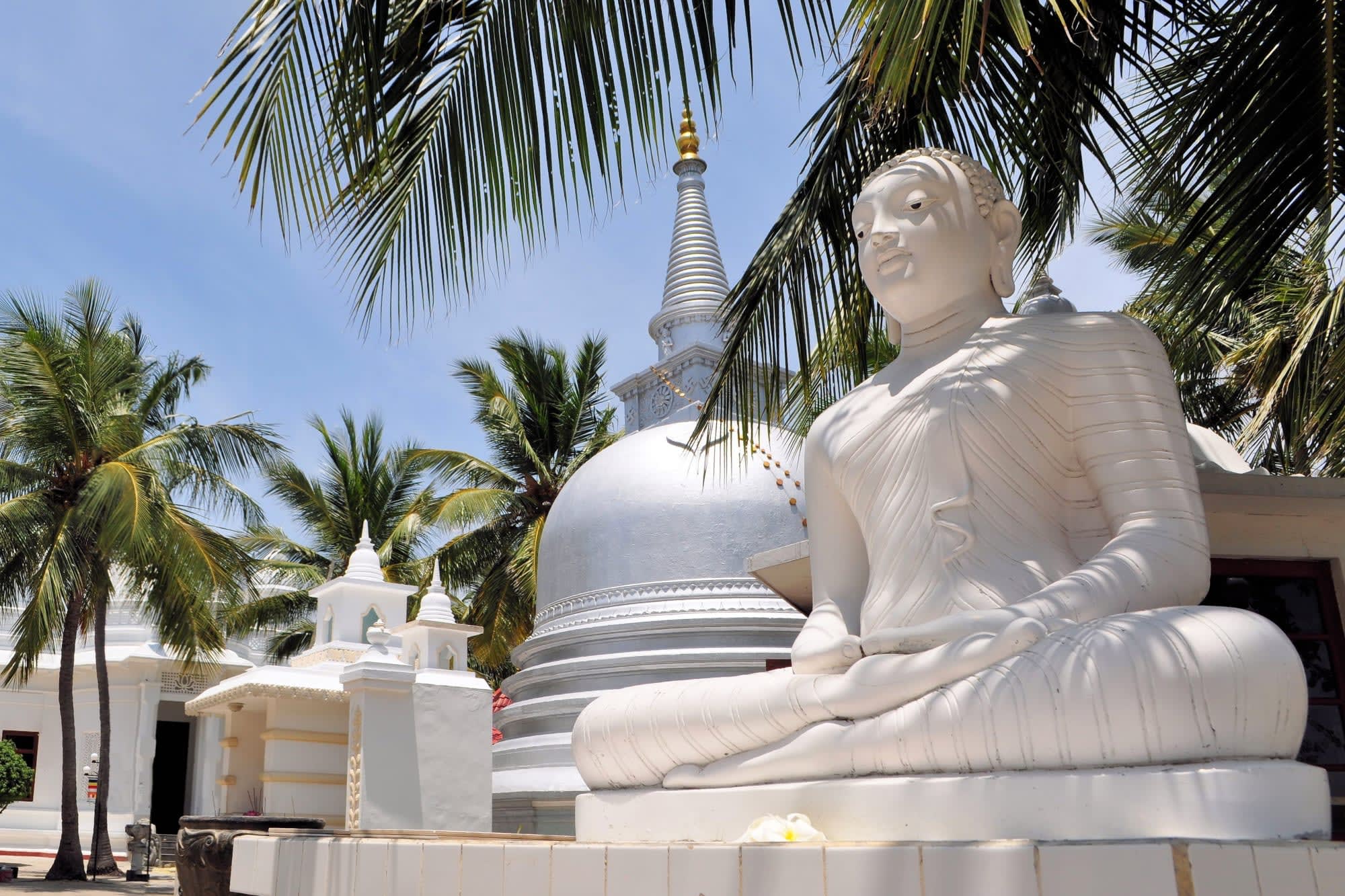 Sri Lanka's ursprünglicher Norden ab Colombo: Sri Lanka Jaffna Nainativu Insel