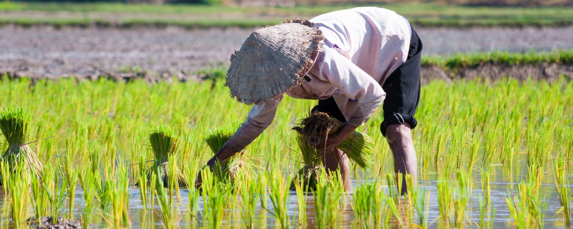 Mekong Eyes Cruises, ab Saigon bis Phu Quoc: Vietnam Mekong Delta Farmer
