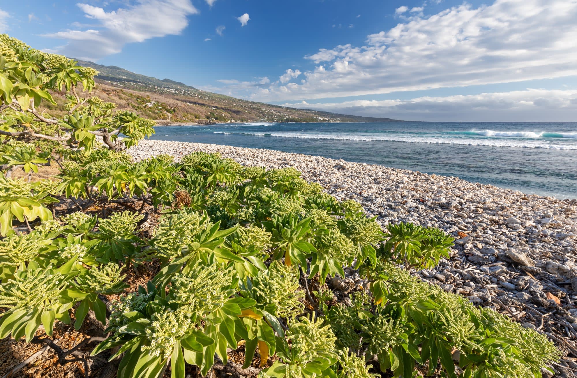 La Réunion Deluxe ab Küstenregion: Reunion Saint Leu