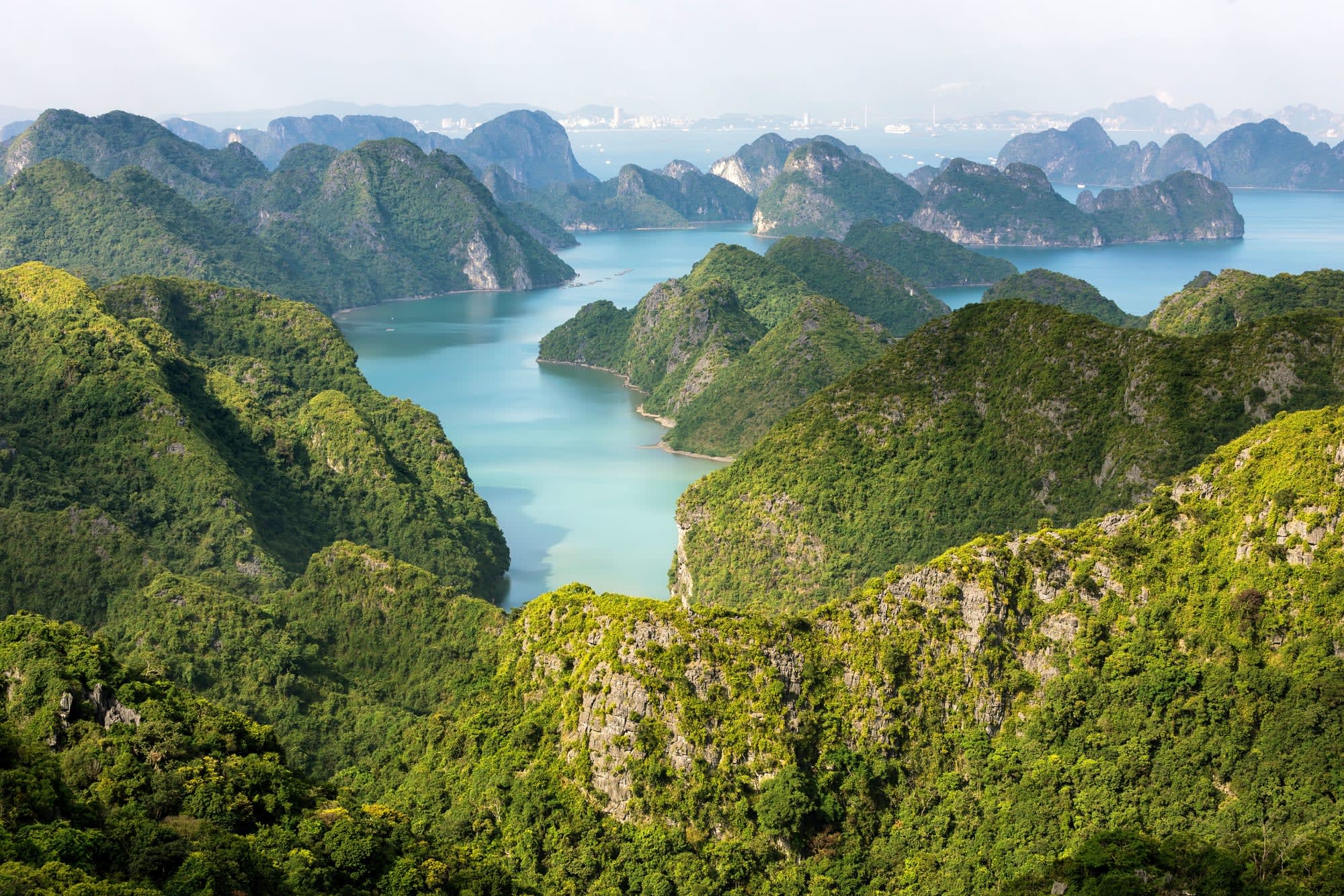 Lan Ha und Halong Bucht mit Peony Cruise (3T/2N) ab Hanoi: Vietnam Halong Bucht 