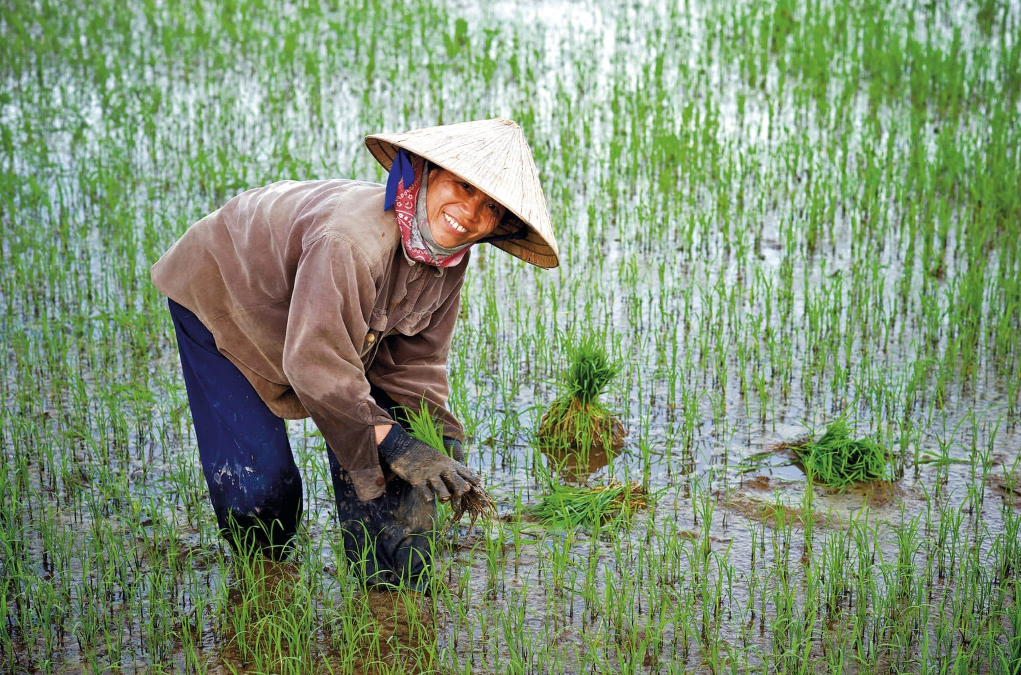 Faszinierendes Mekong Delta ab Saigon: Vietnam Reisbäuerin