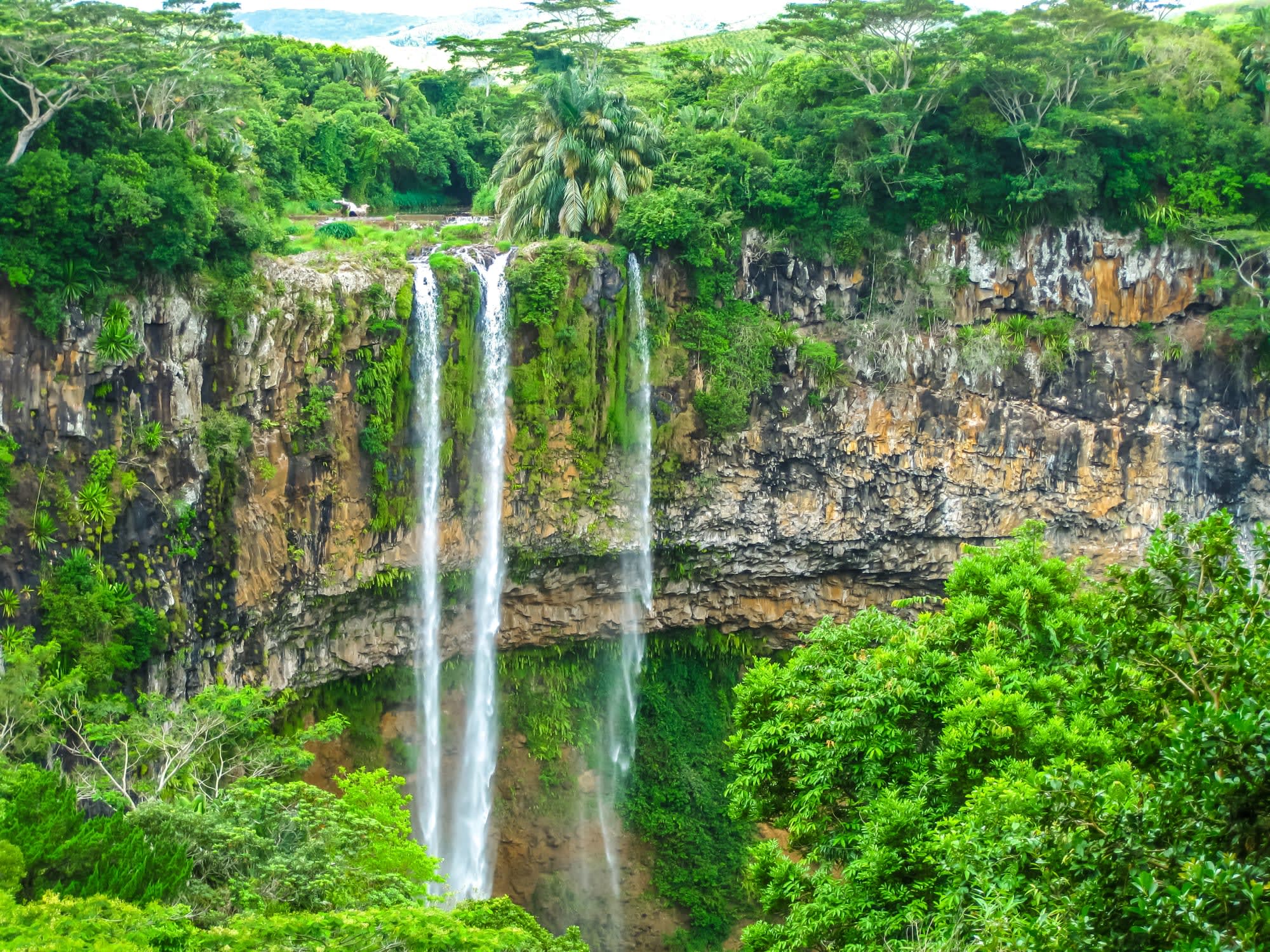 Nature & Adventure Mauritius ab Süd | Südwesten: Mauritius Chamarel Wasserfall