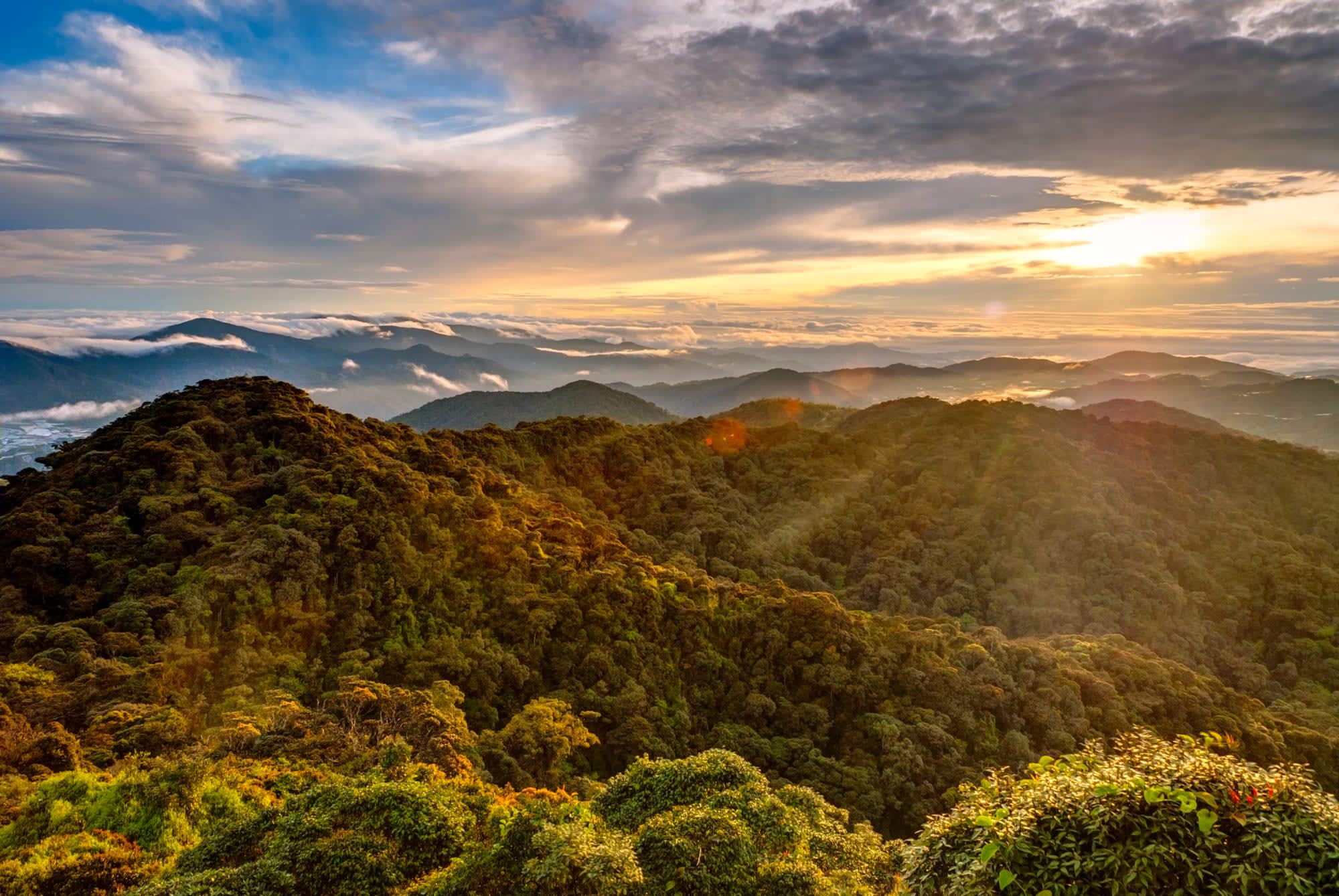 Klassisches Malaysia ab Kuala Lumpur: Malaysia Cameron Highlands