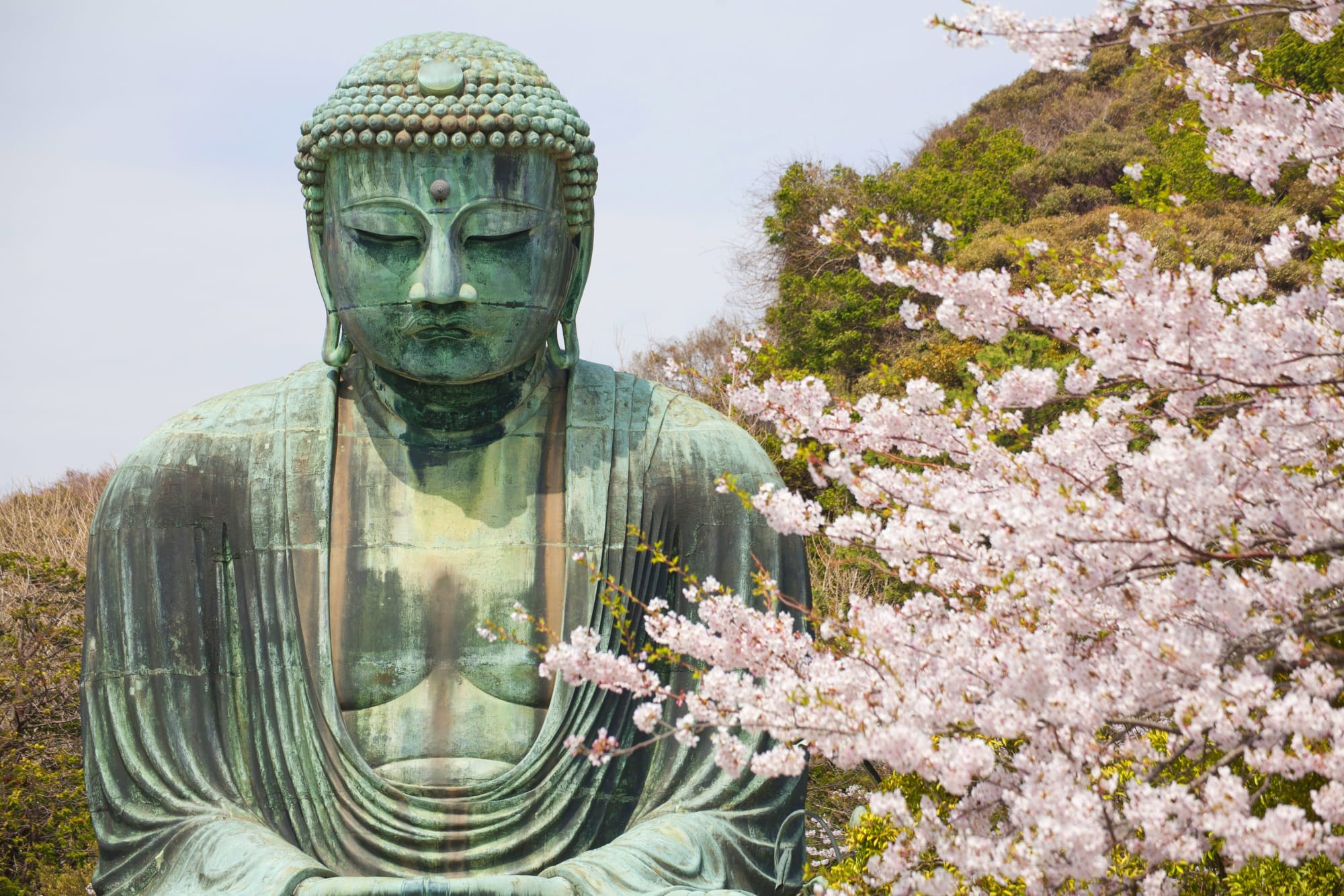 Das Land der Geishas inkl. Flug ab Tokio: Japan Kamakura Großer Buddha 